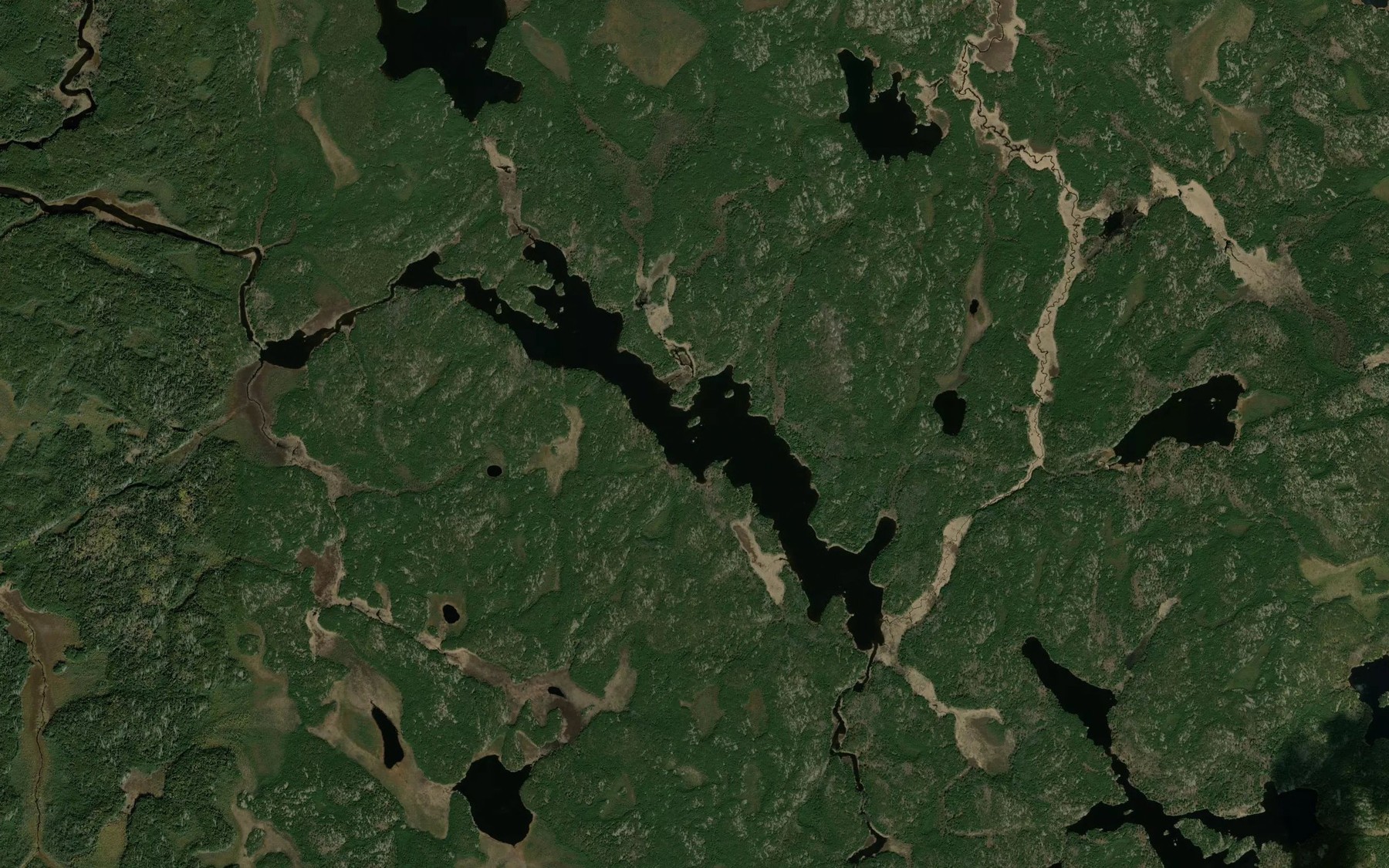 Satellite map of the Cumming Lake