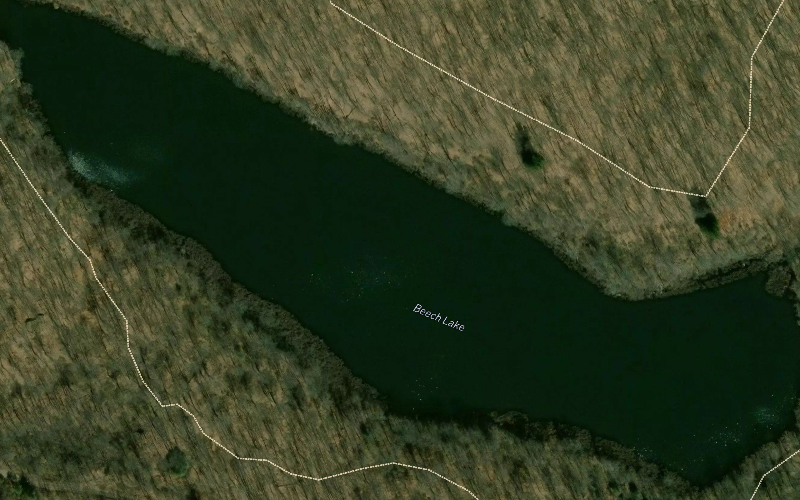 Beech Lake