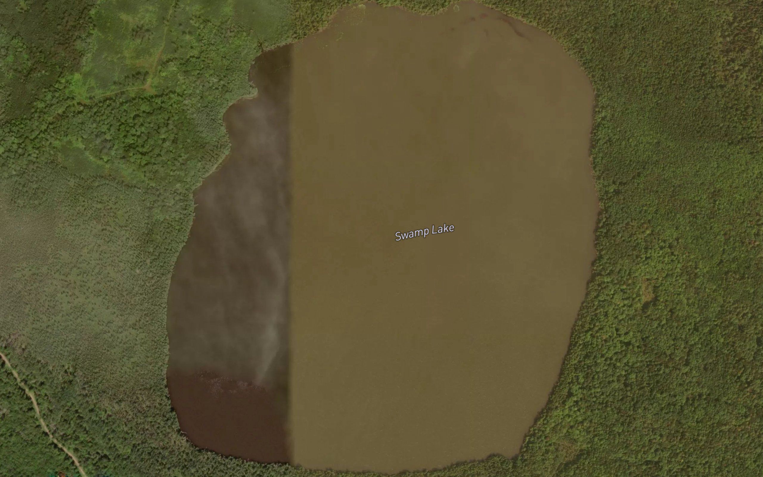 Swamp Lake