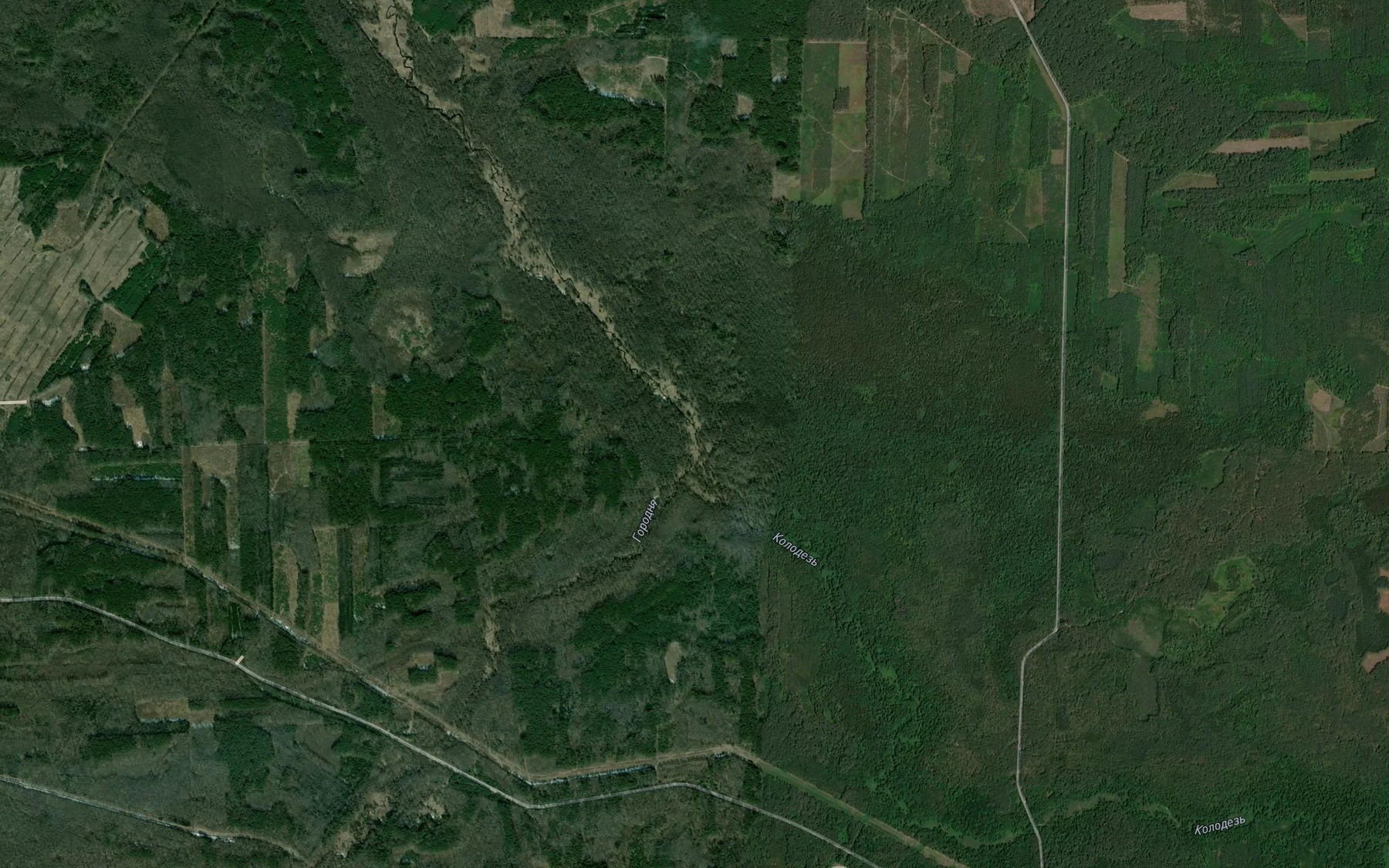 Satellite map of the Gorodnya
