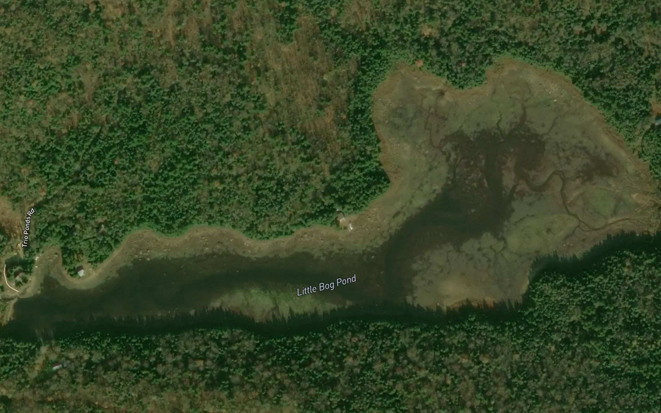 Little Bog Pond