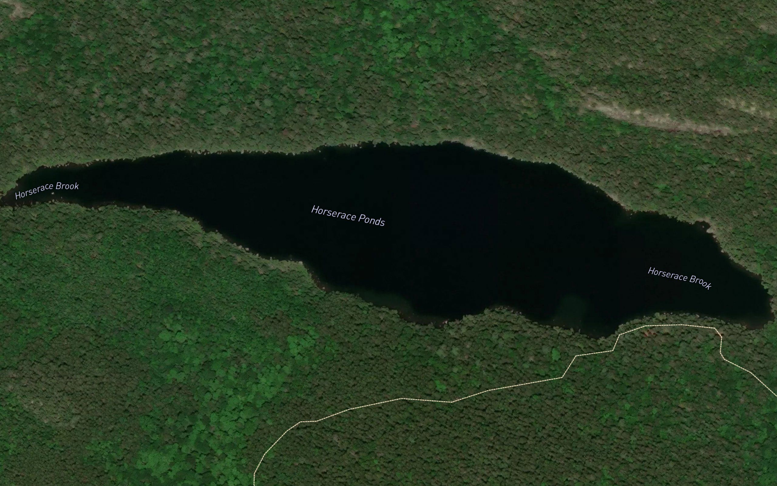 Horserace Ponds