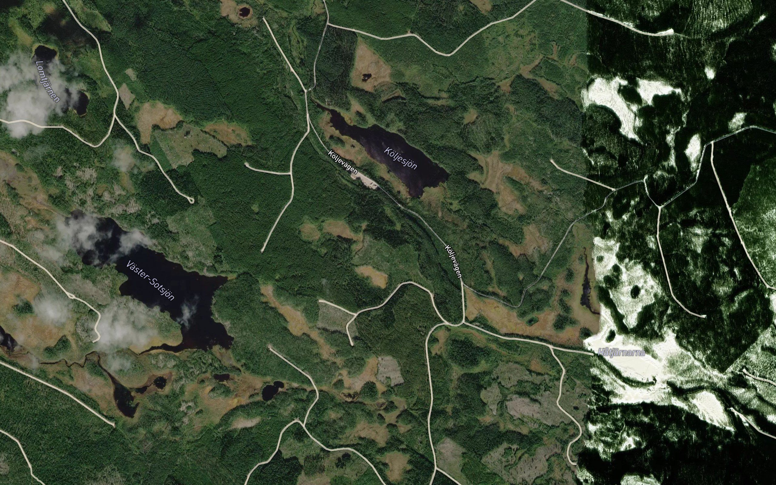 Koljetjarn