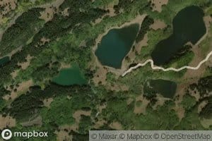 Duplicates record 08017737