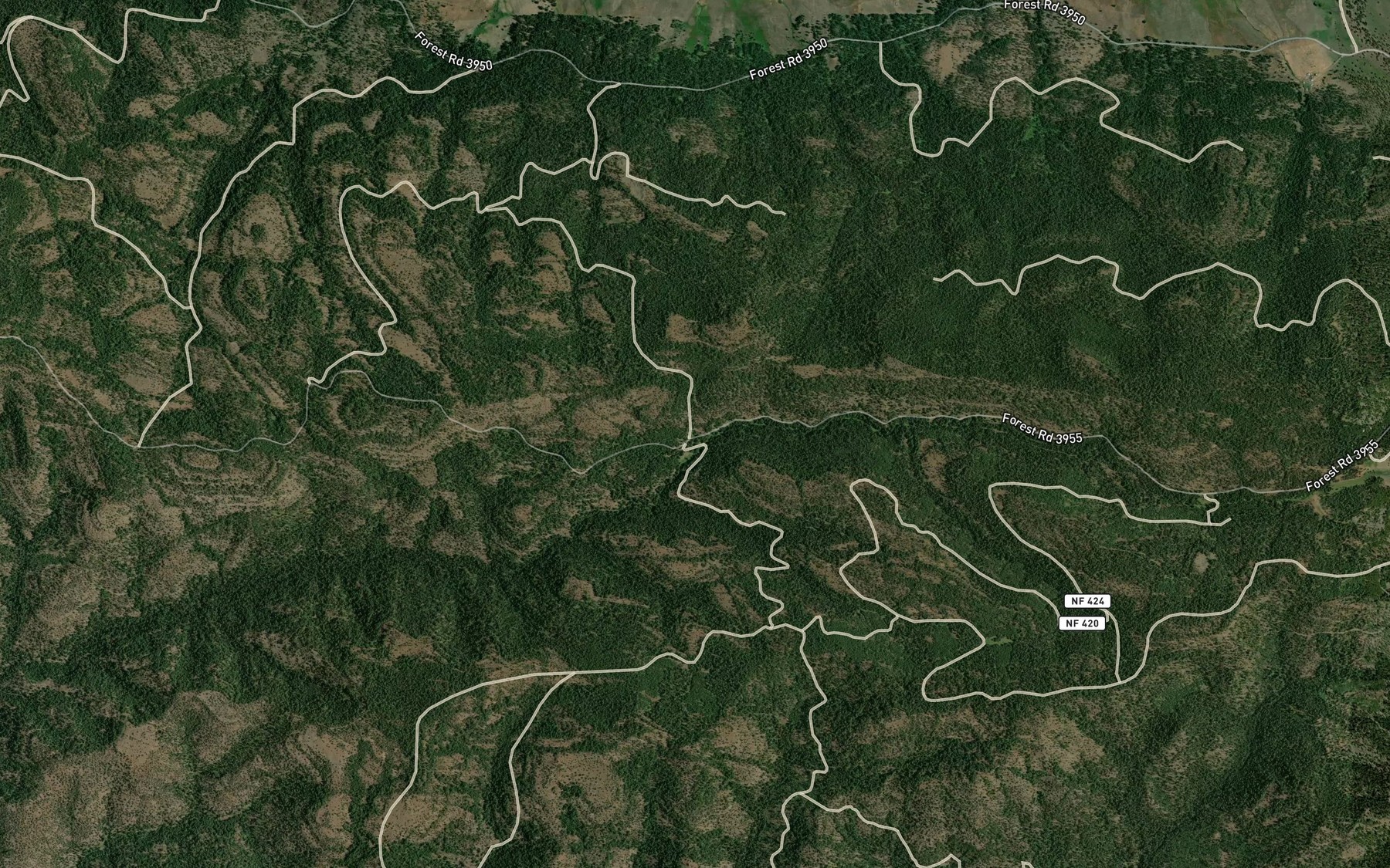 Satellite map of the Belsham Spring