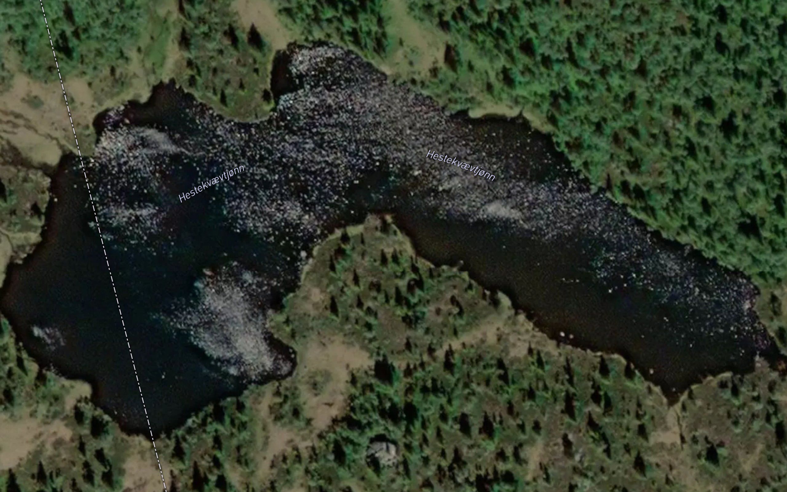 Hestekvaevtjonn