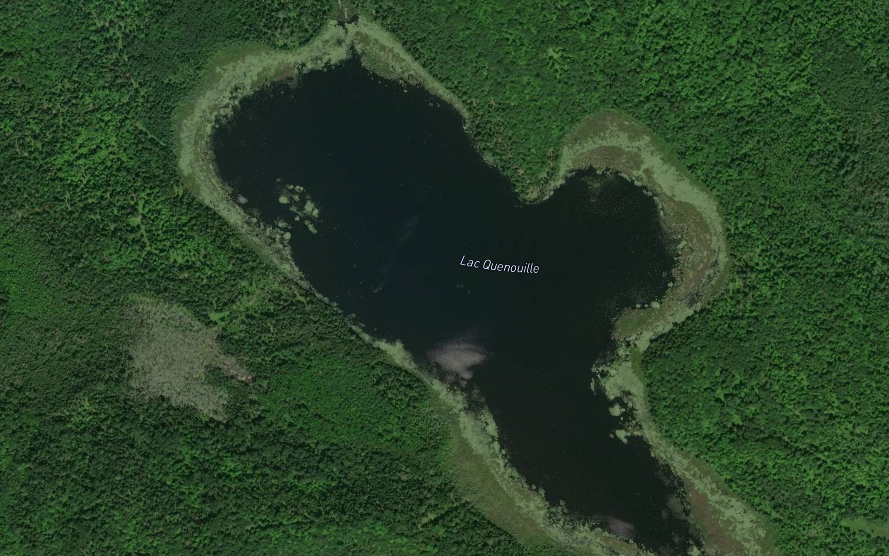 Satellite map of the Lac Quenouille