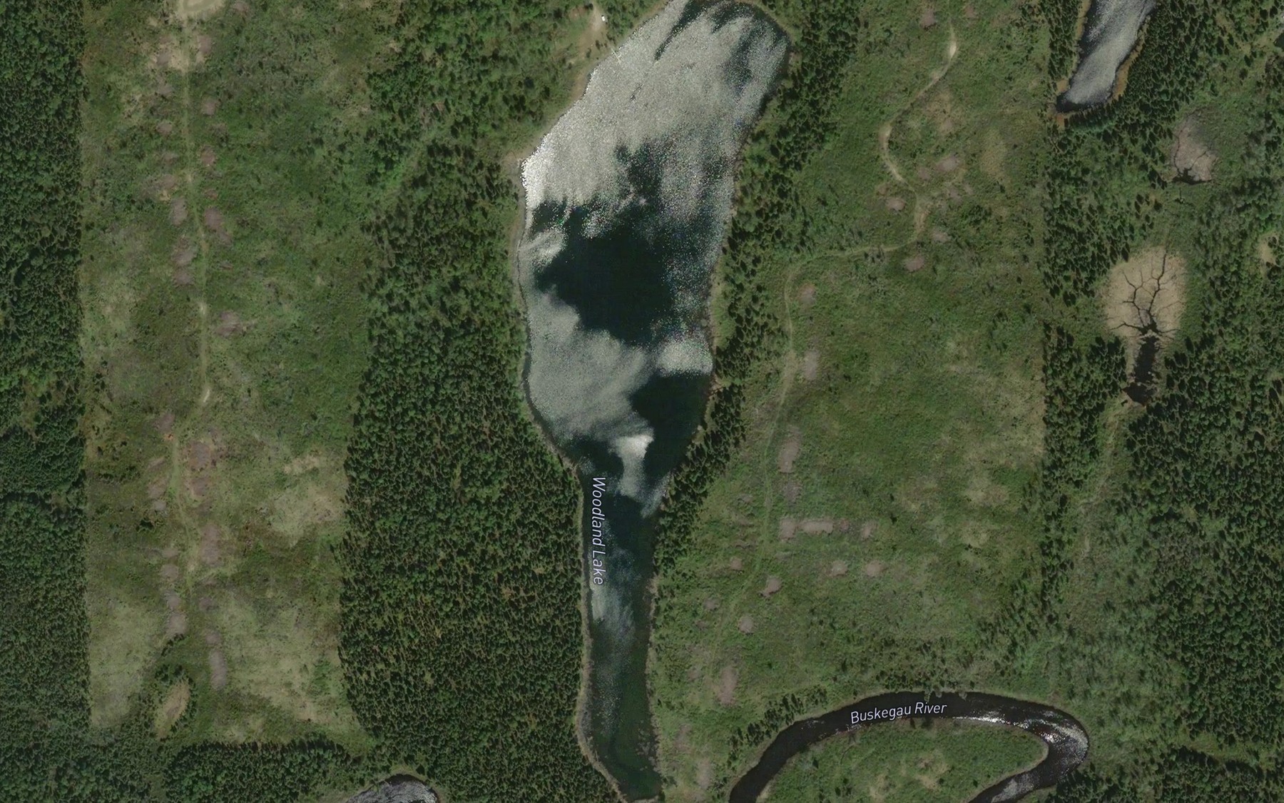 Satellite map of the Woodland Lake