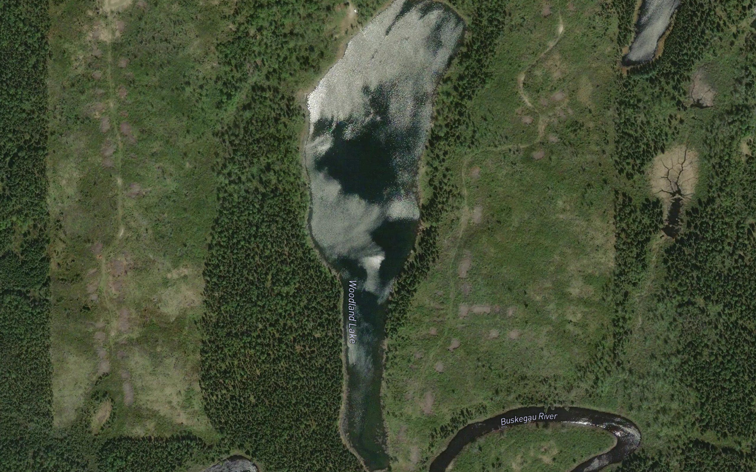 Woodland Lake