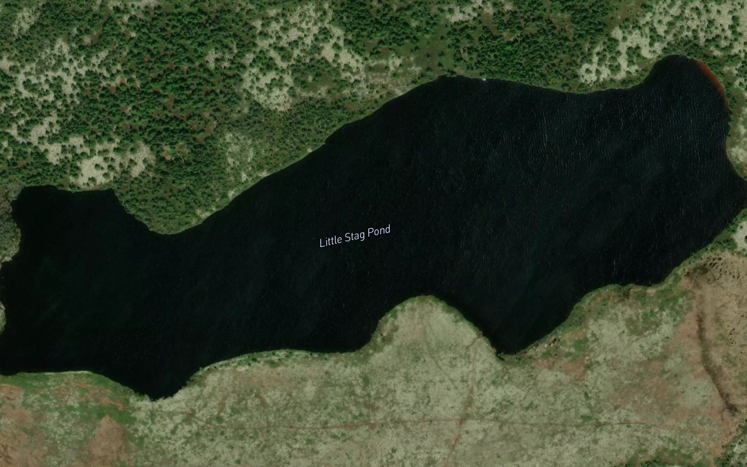 Little Stag Pond