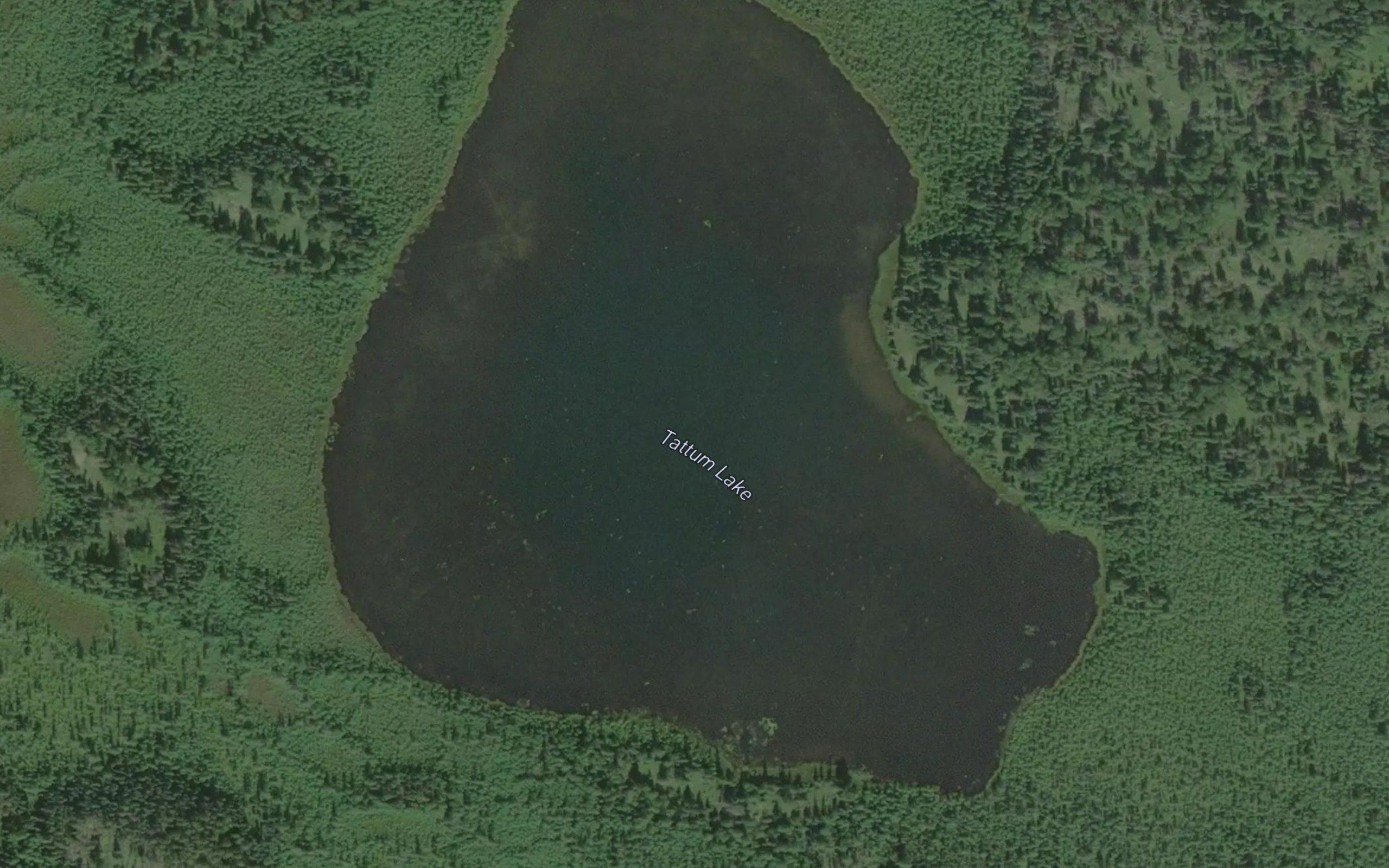 Tattum Lake