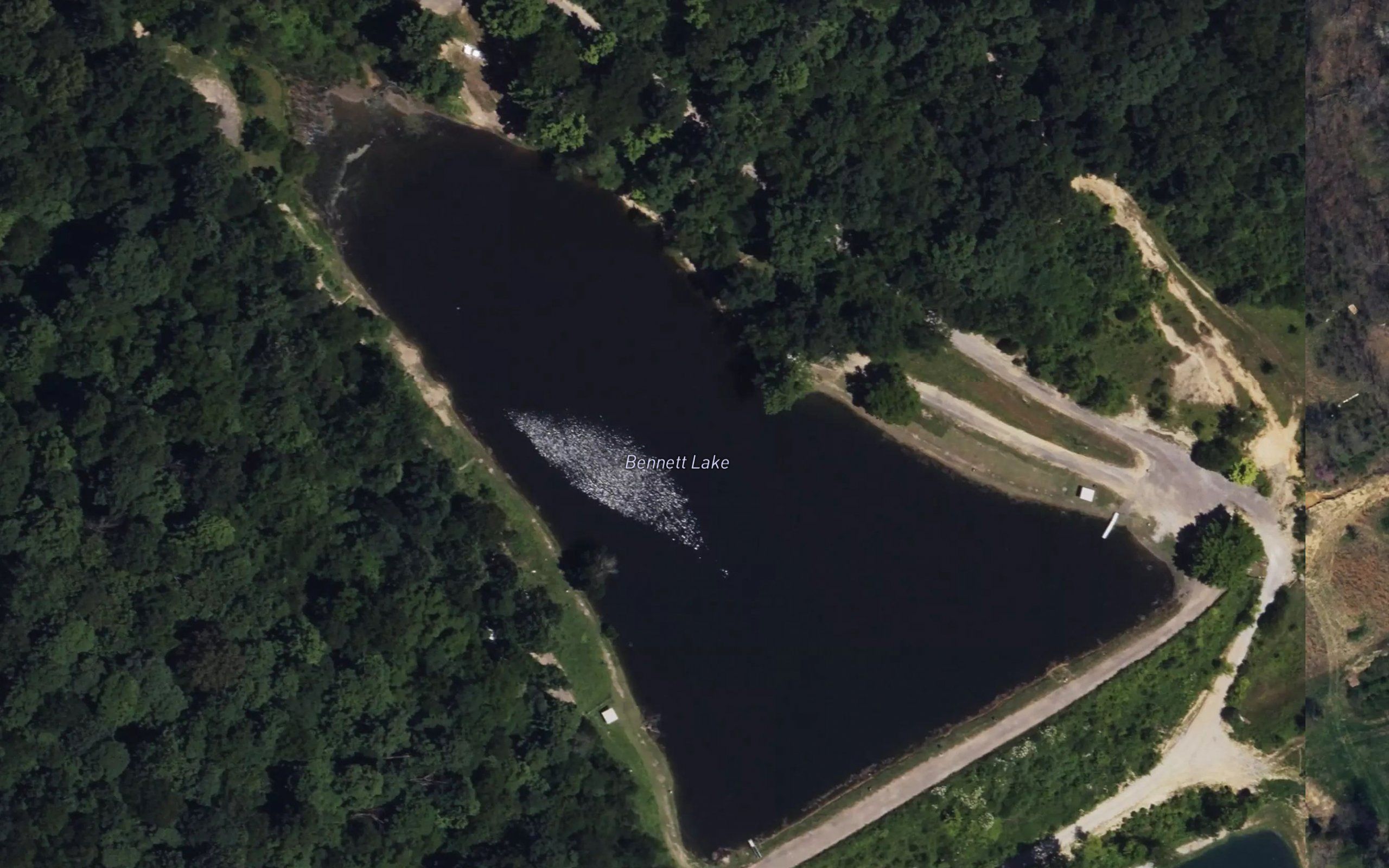 Bennett Lake
