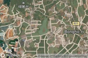 Bonghoje