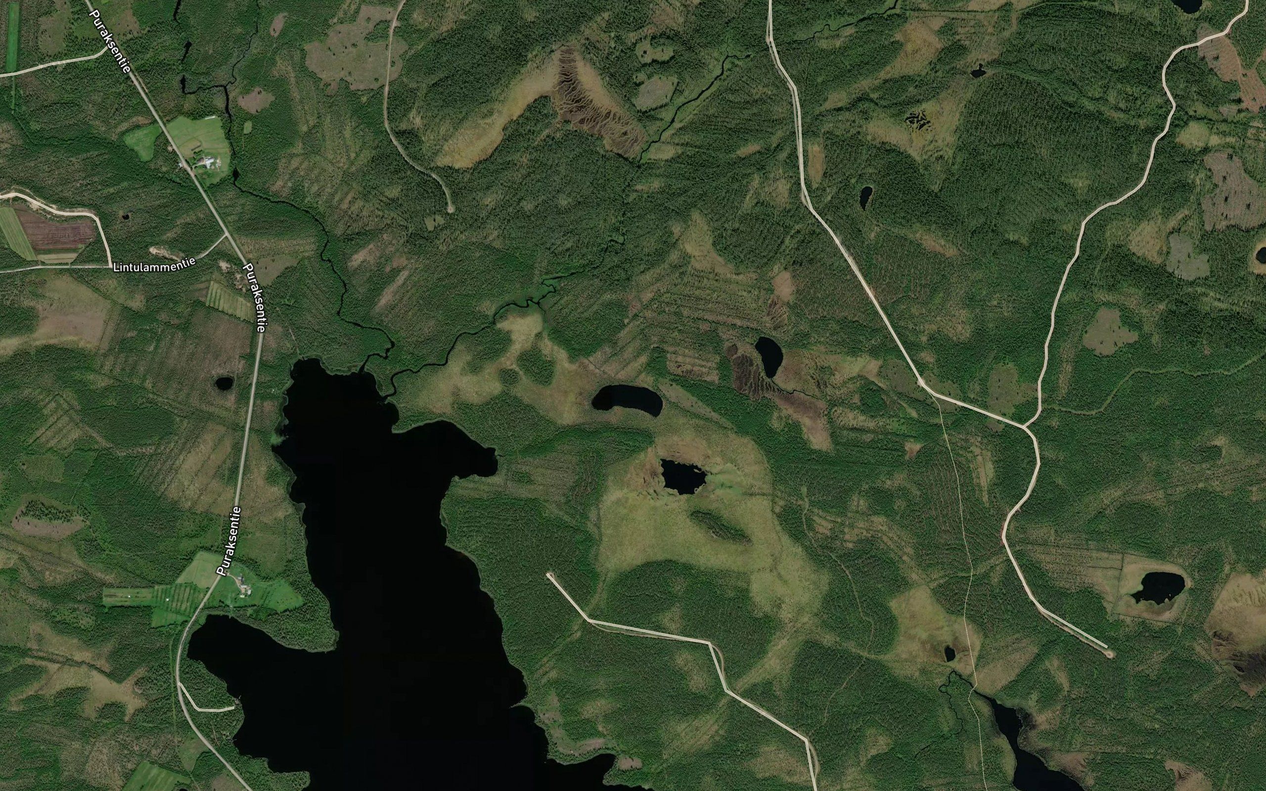 Kuikkalampi