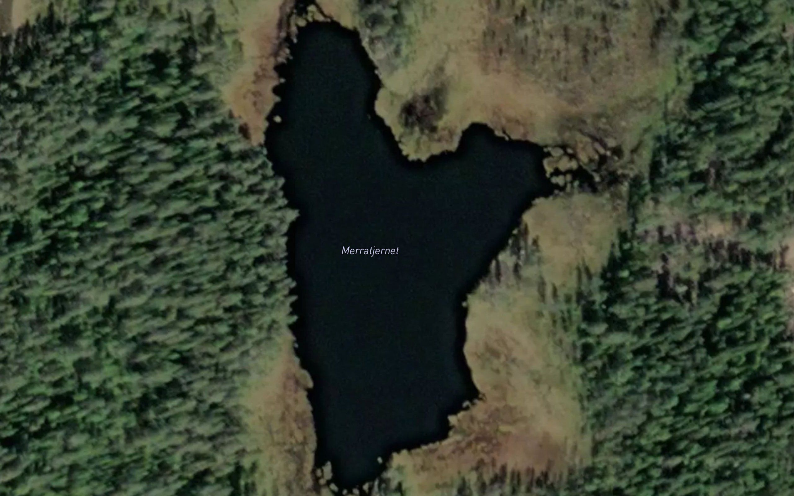 Merratjernet