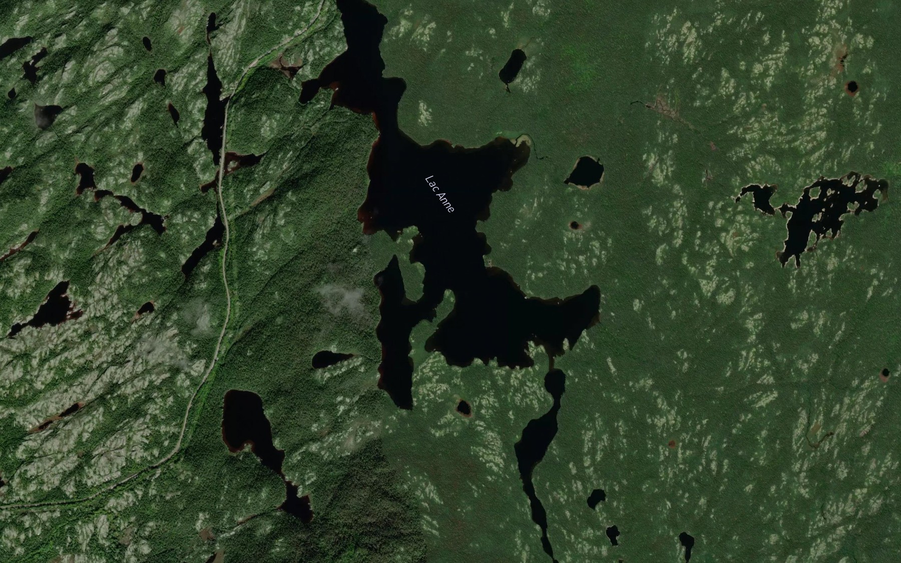 Satellite map of the Lac Anne