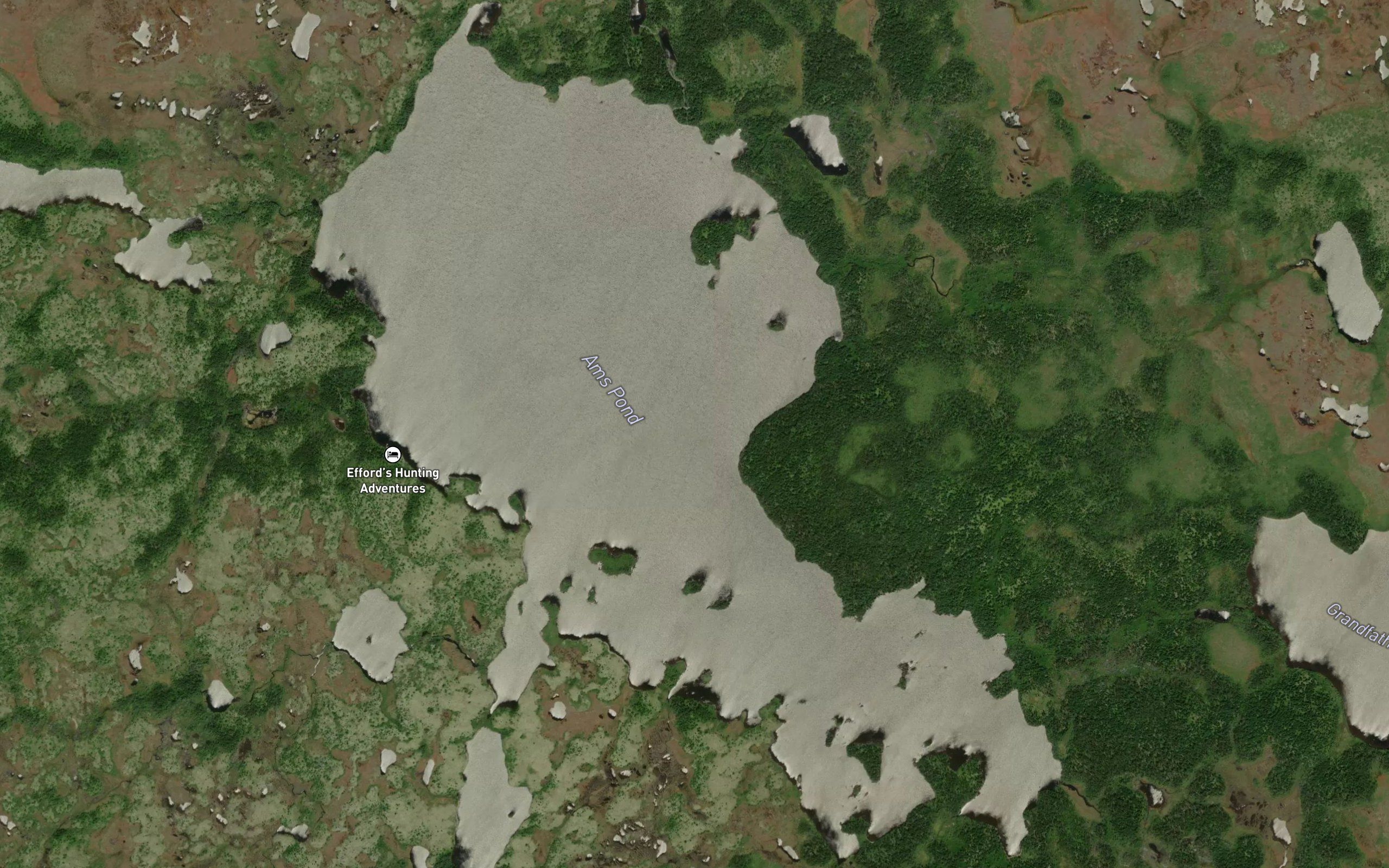 Ams Pond