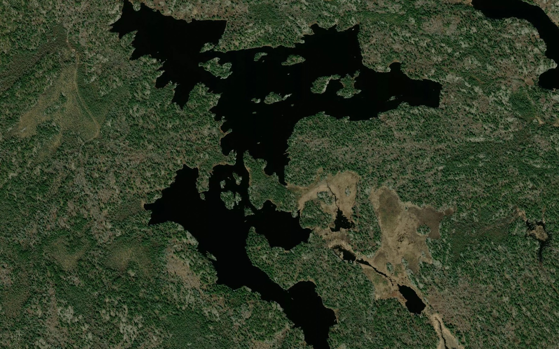 Satellite map of the Horodyski Lake