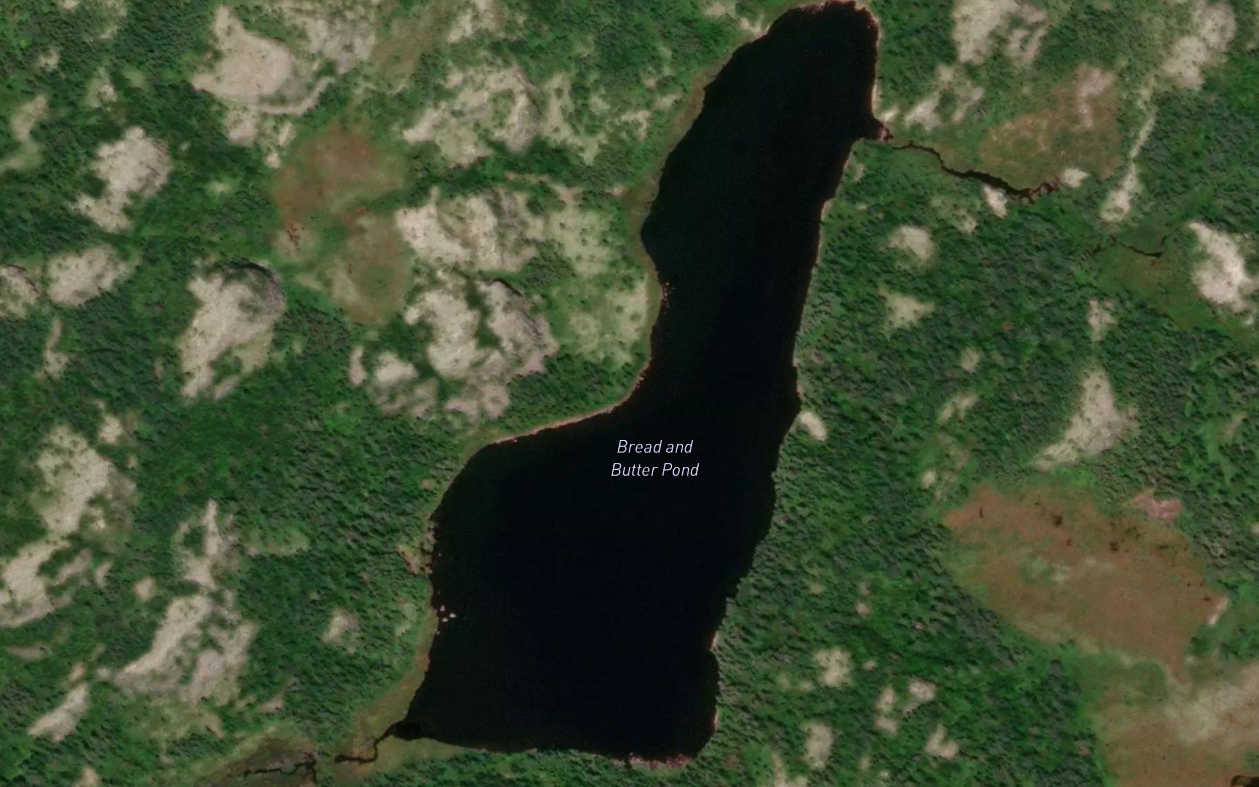 Bread and Butter Pond
