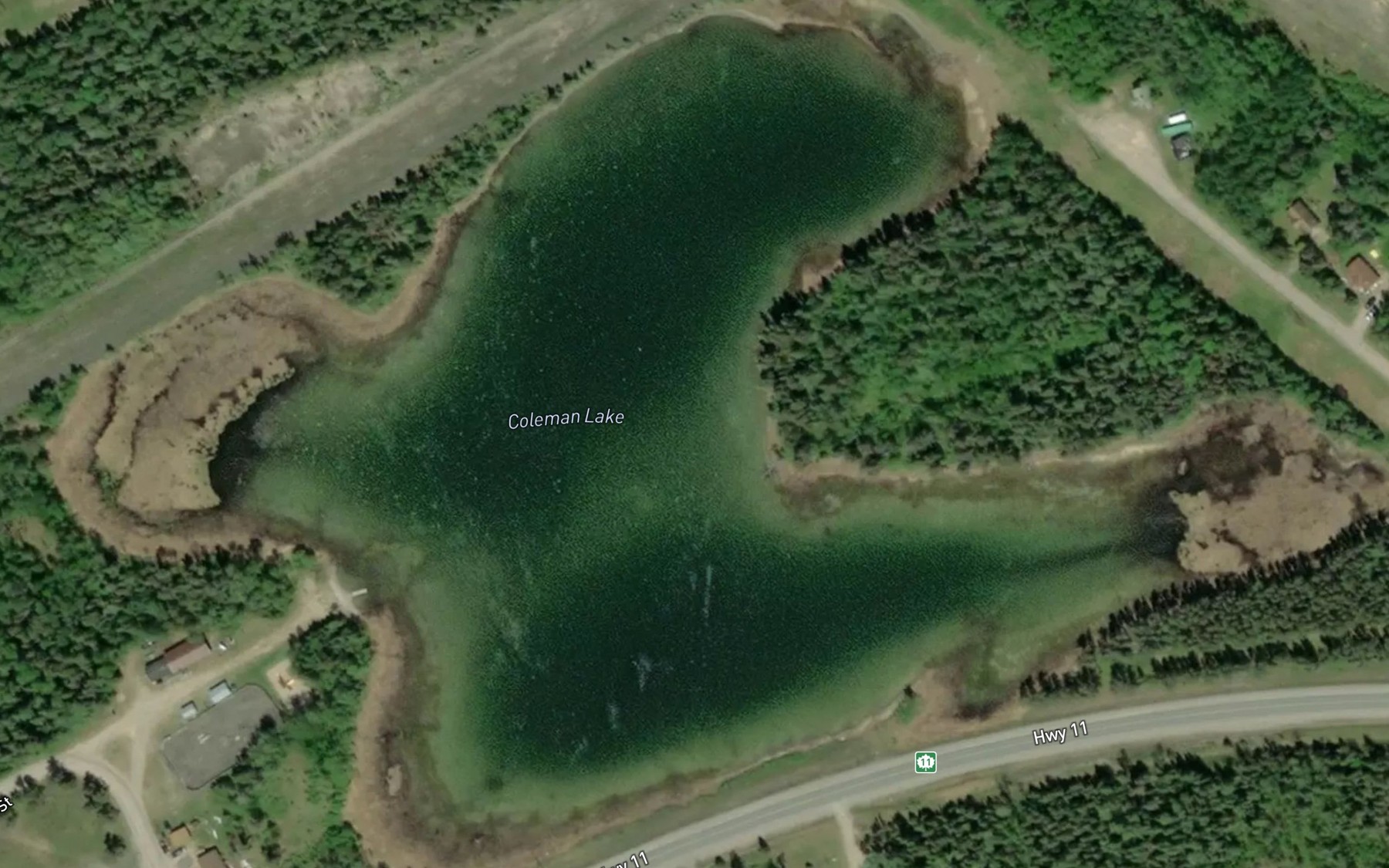 Satellite map of the Coleman Lake