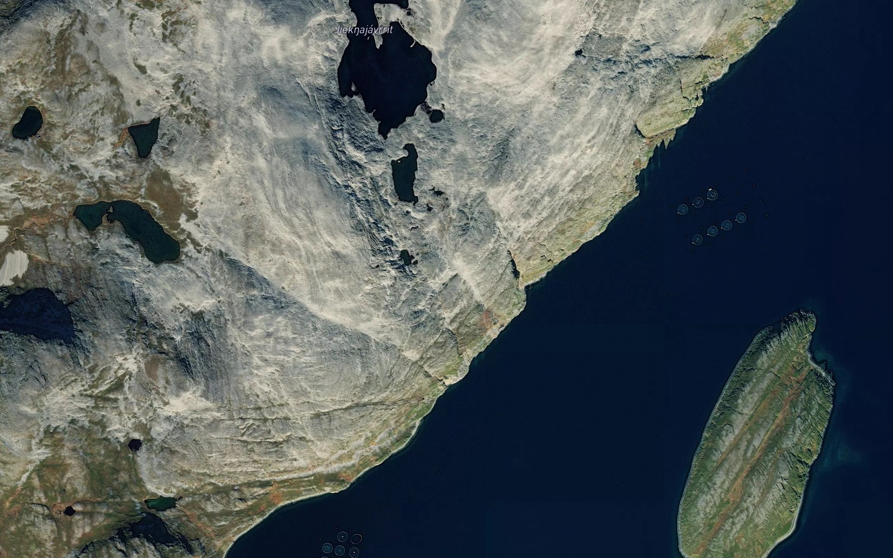 Satellite map of the Iselva