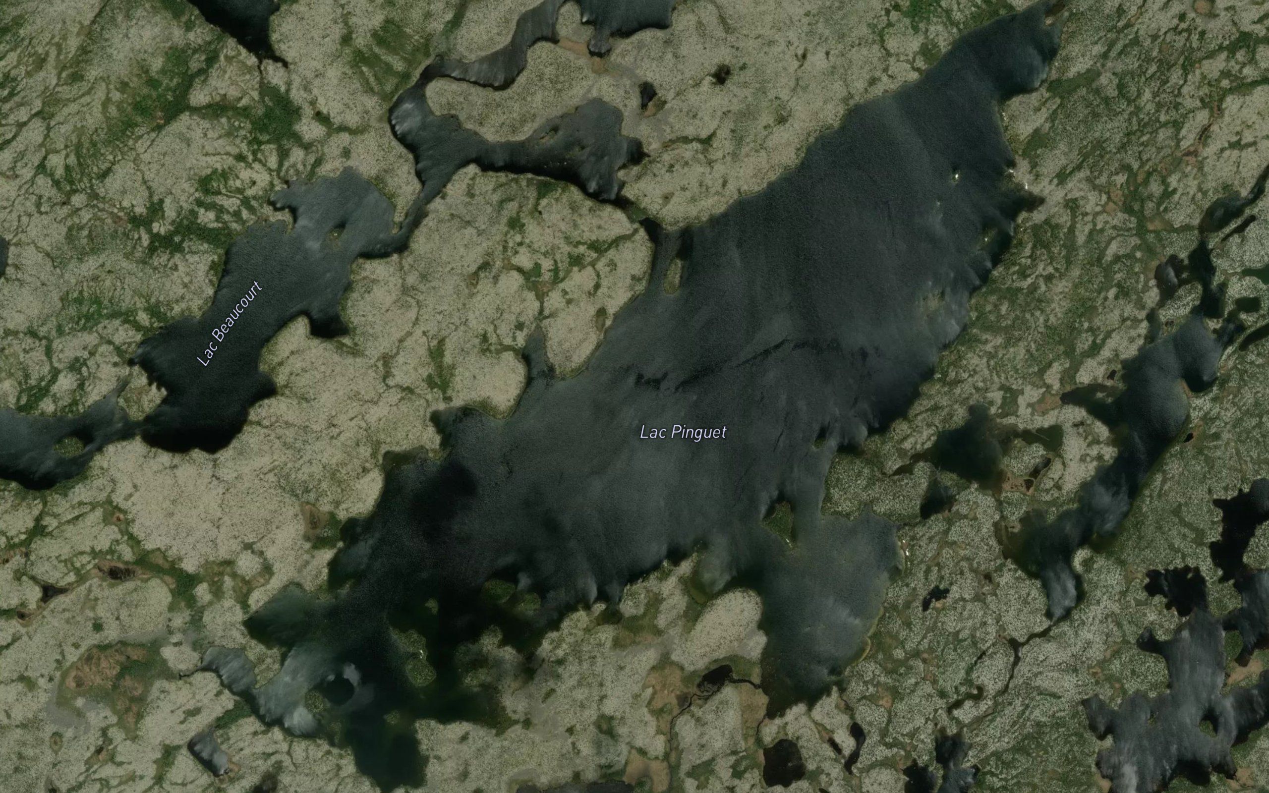 Lac Pinguet