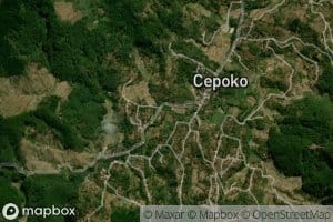 Kali Cepoko