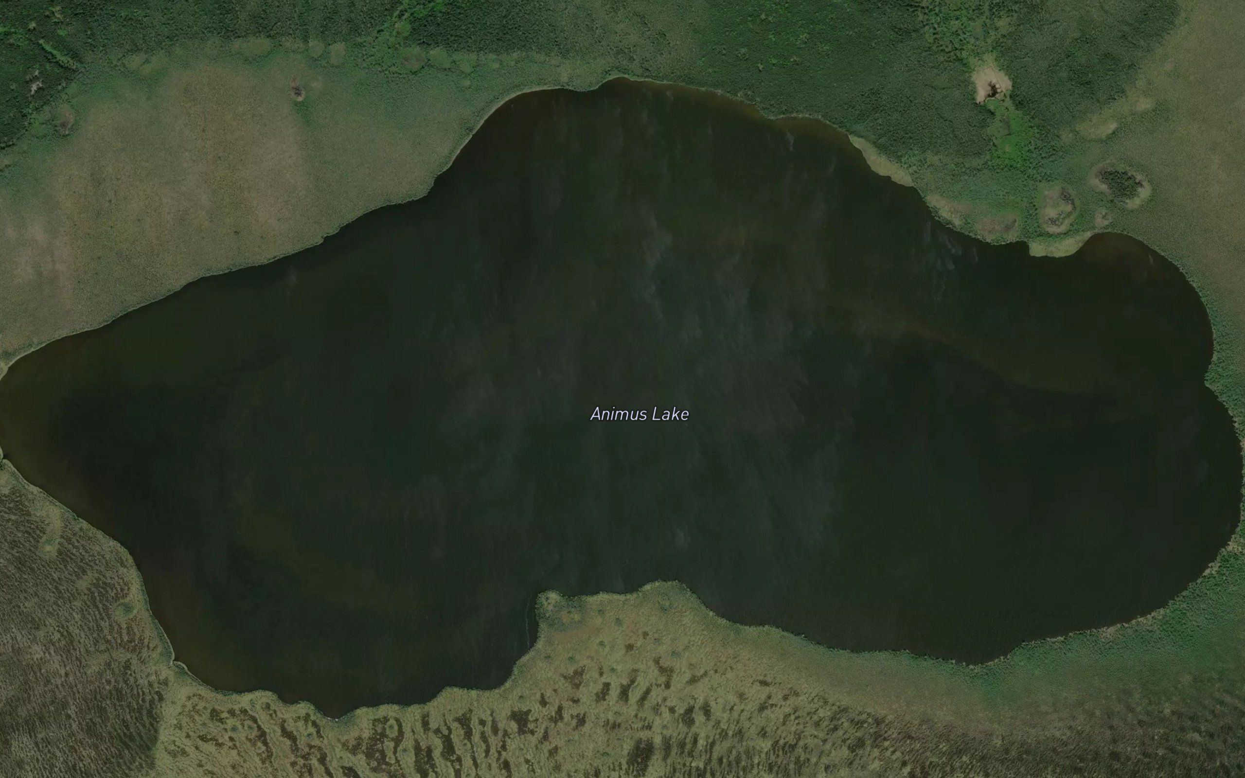 Animus Lake