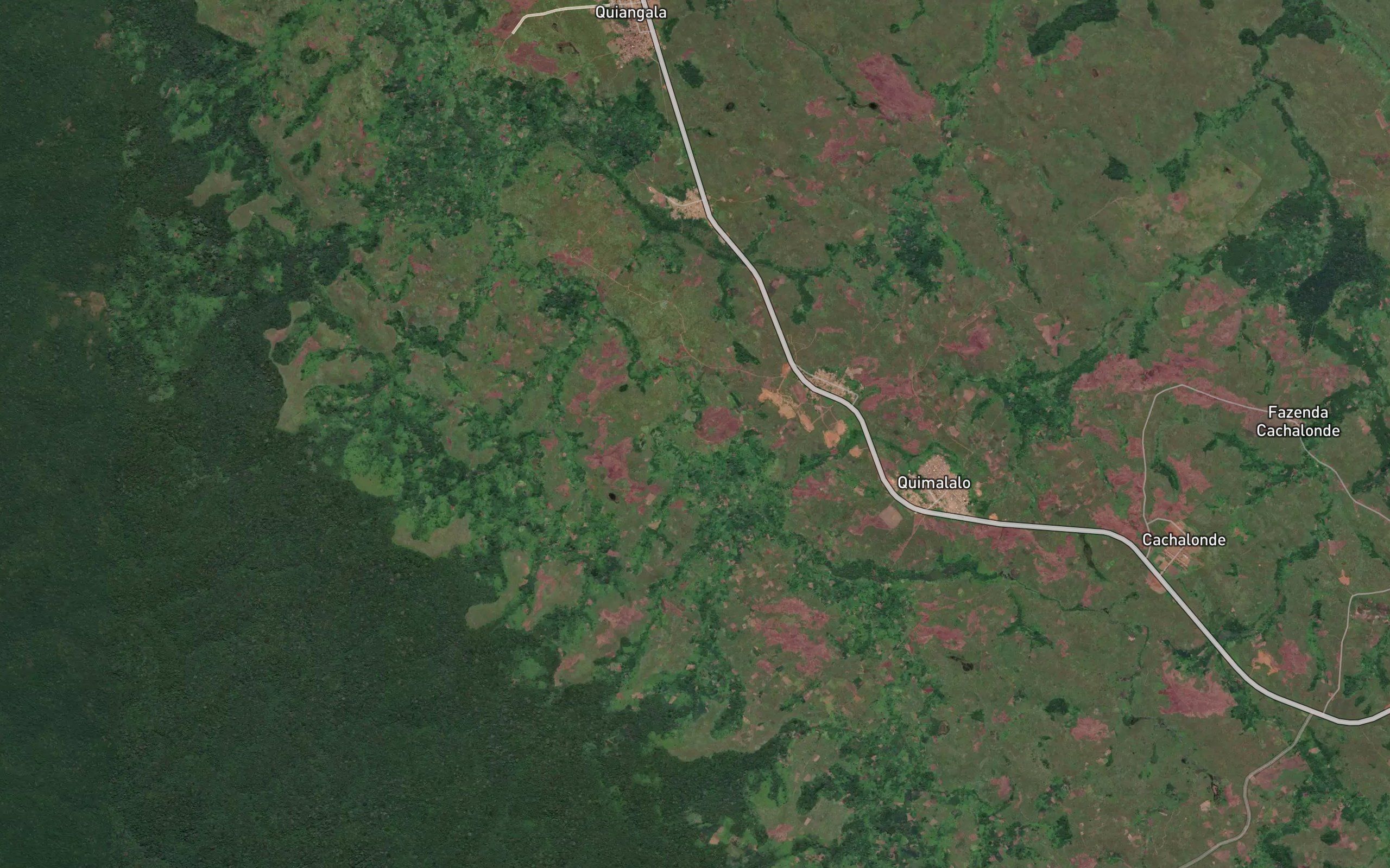 Vunga