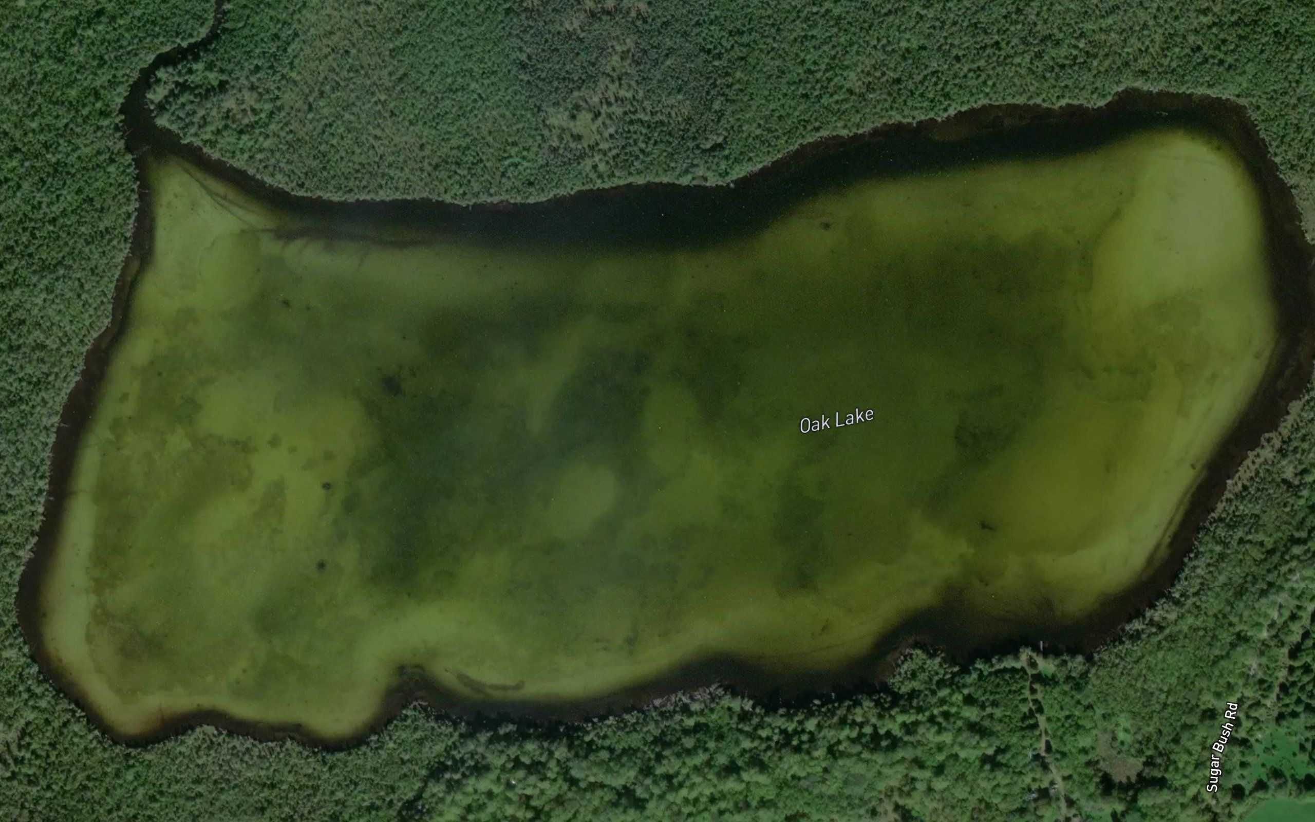 Oak Lake
