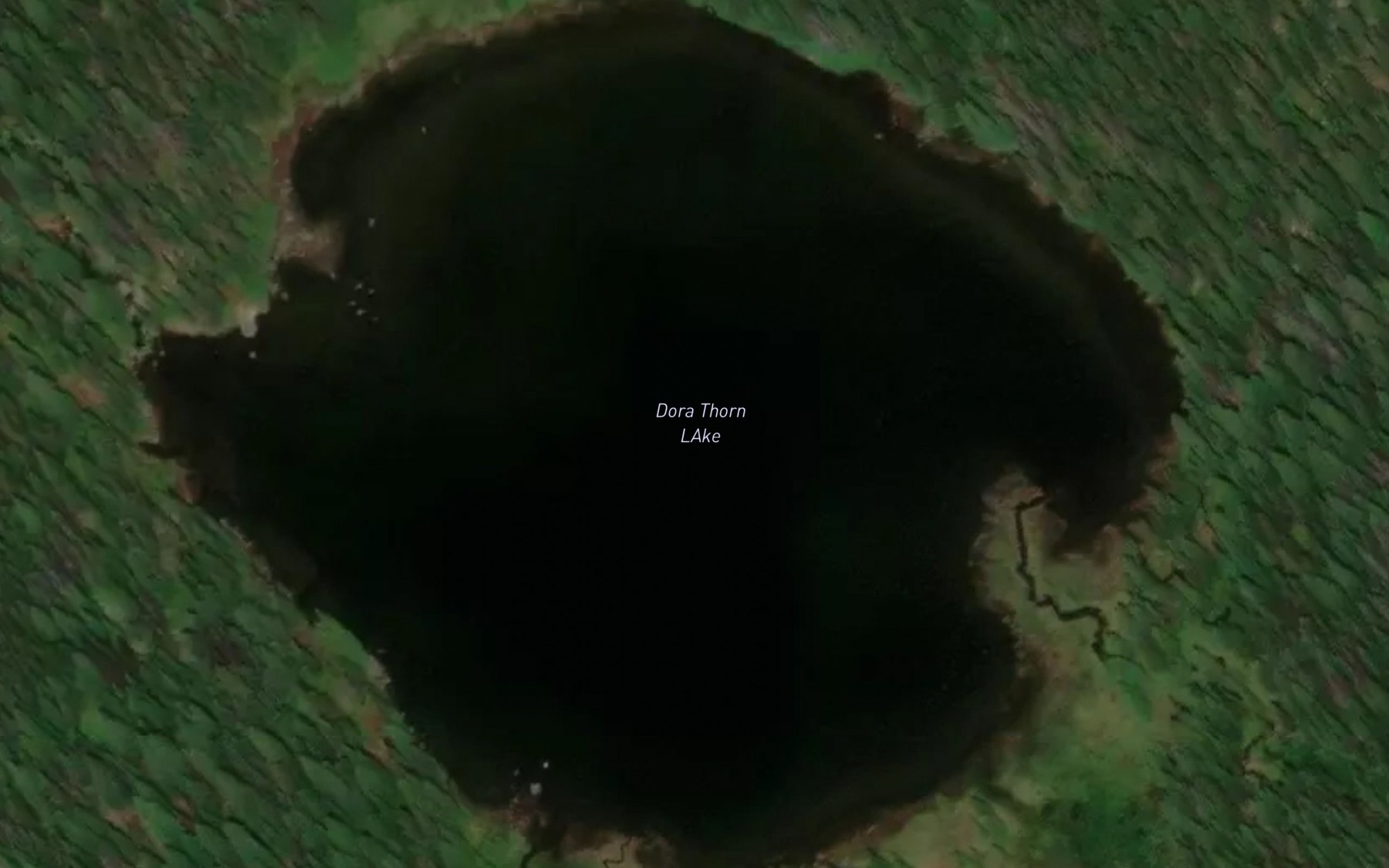 Satellite map of the Dora Thorn Lake