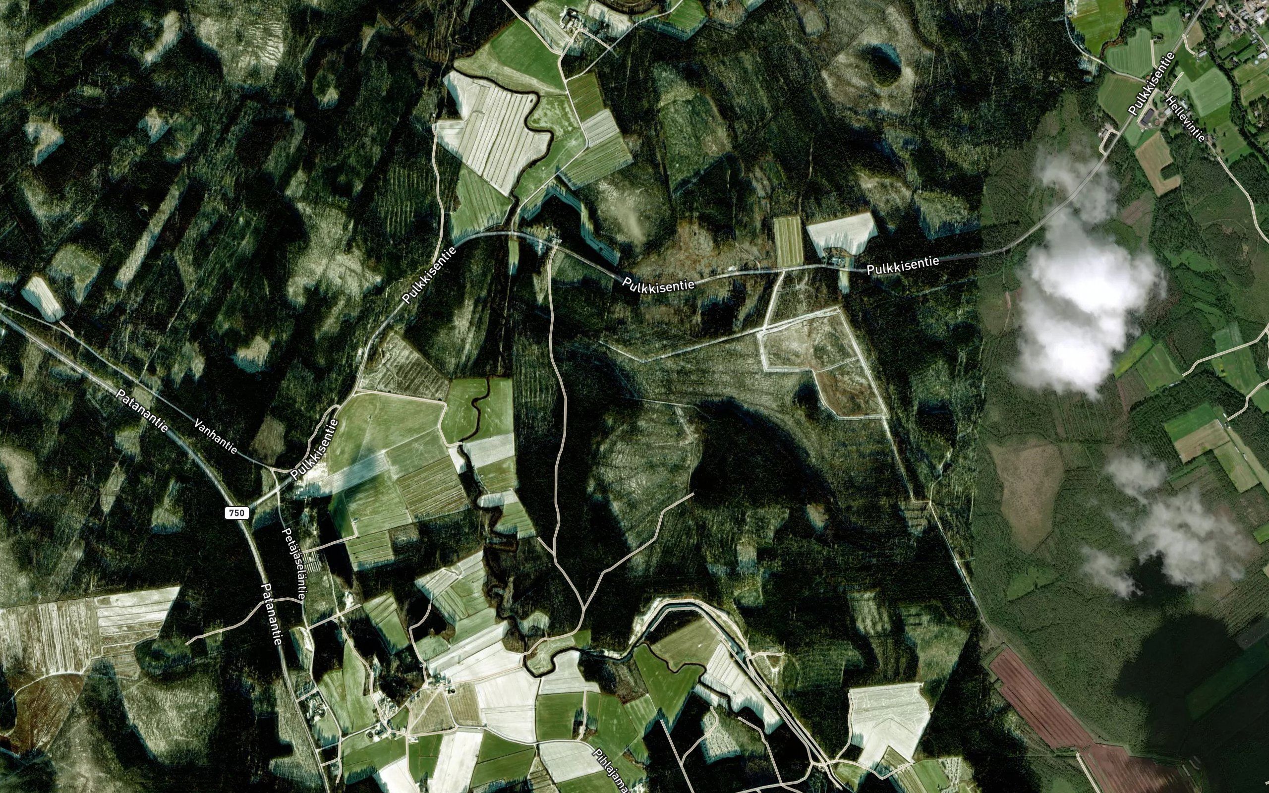 Patanajoki