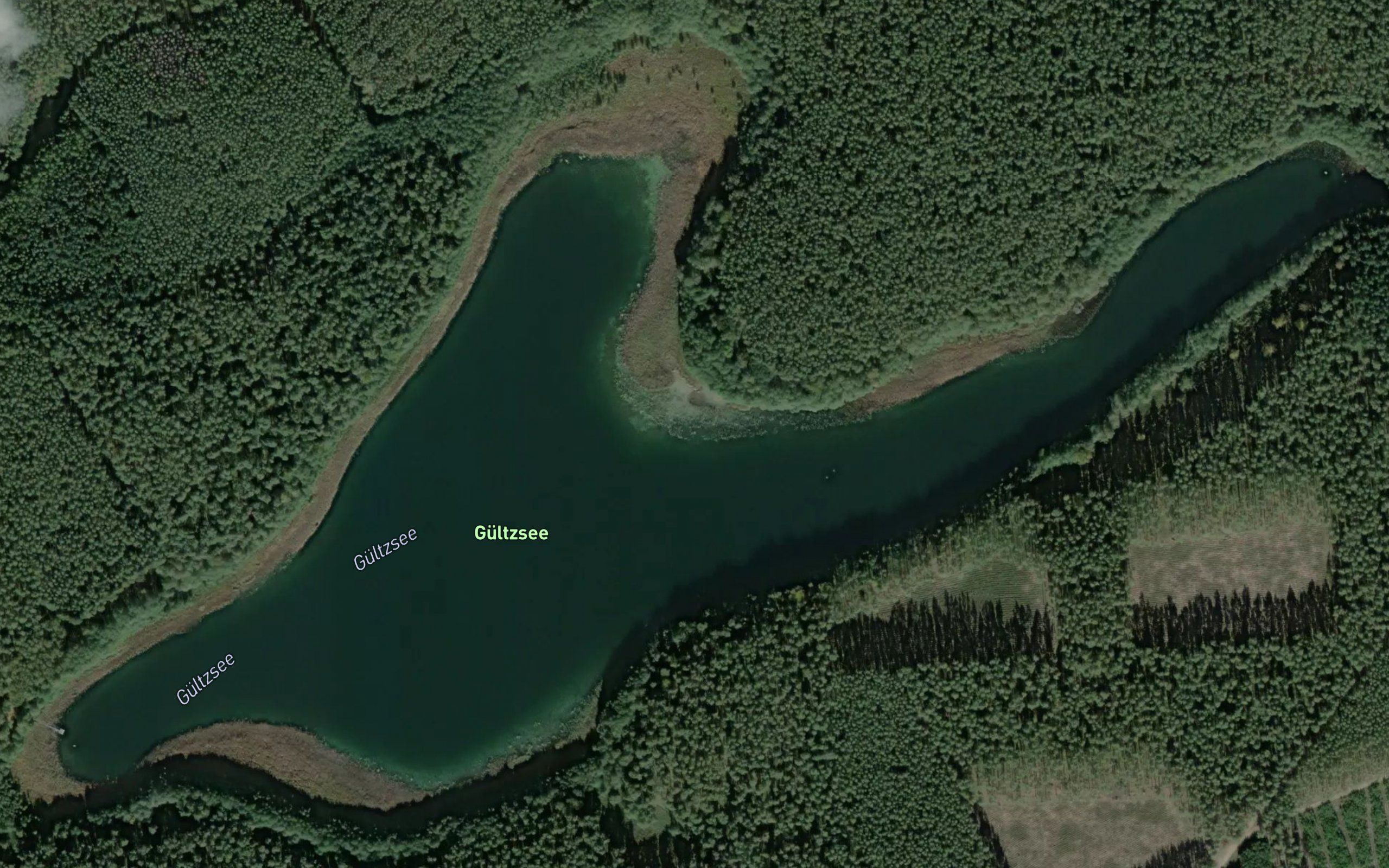 Gultzsee