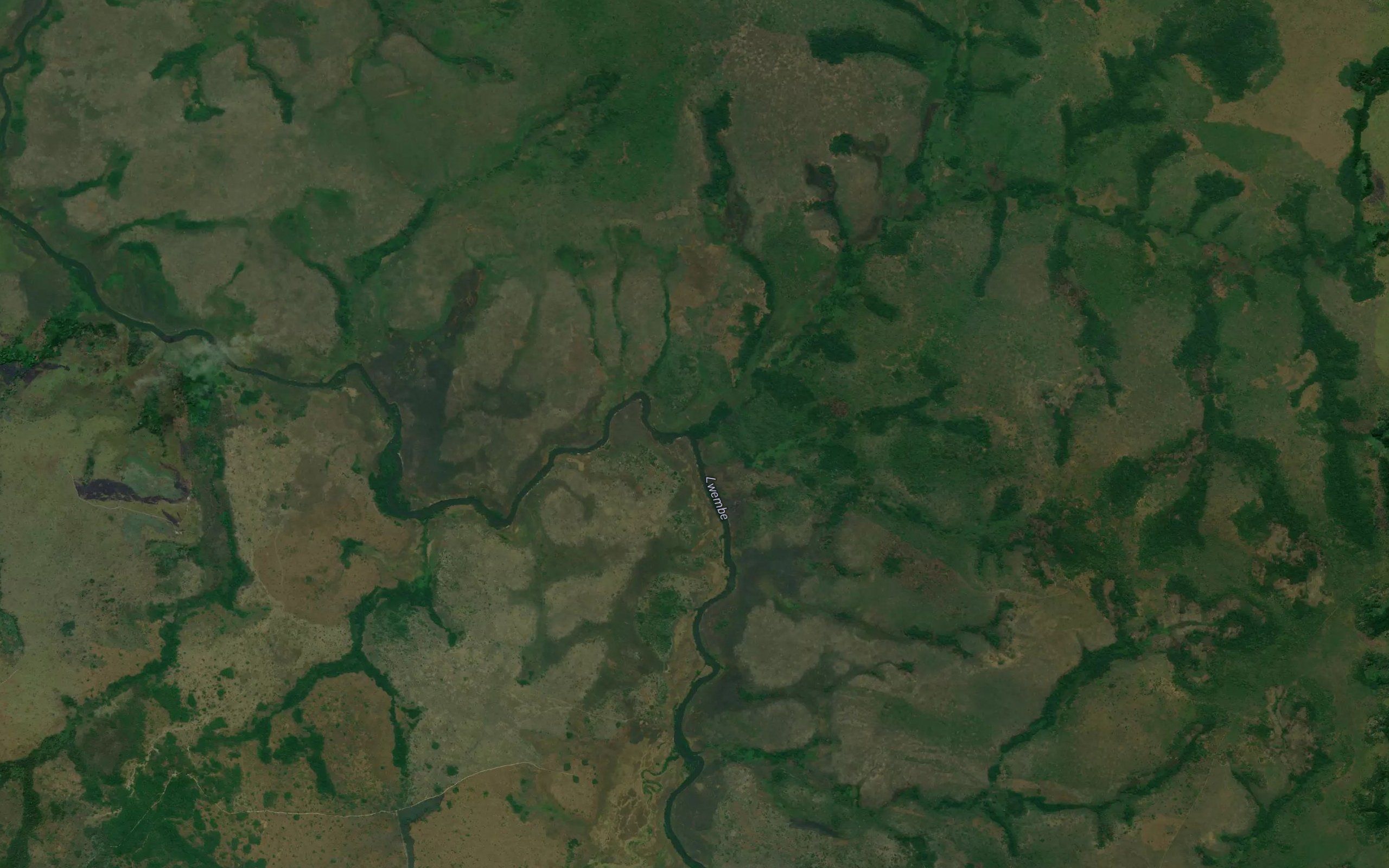 Mudjibu