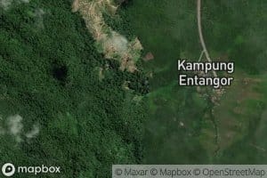 Sungai Tekalong