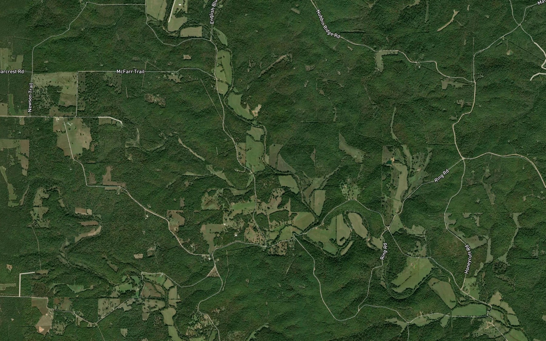 Satellite map of the Big Branch