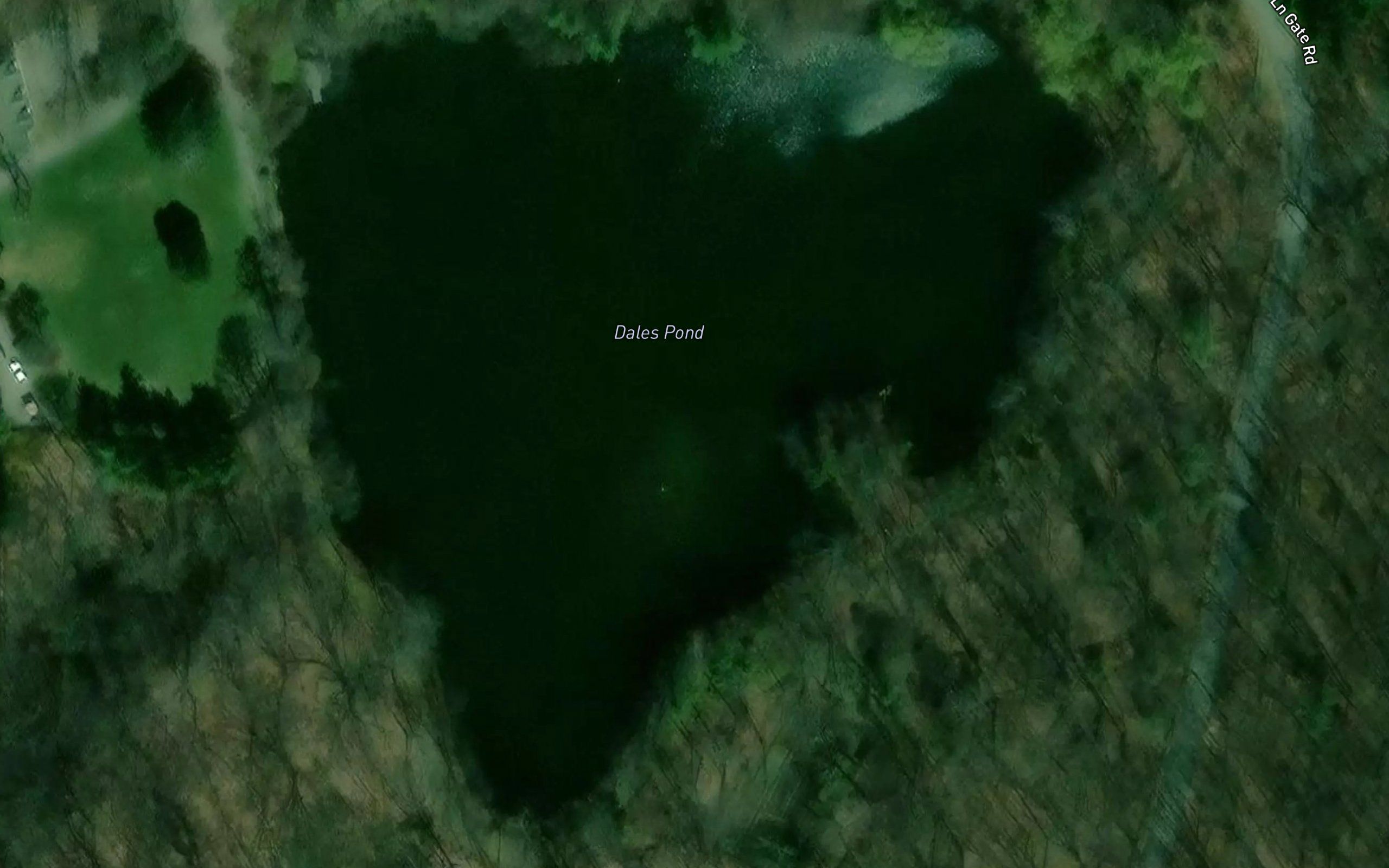 Dales Pond