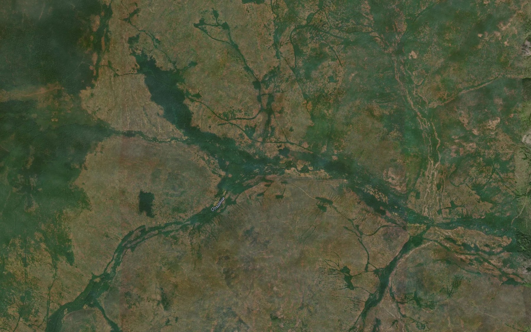 Satellite map of the Malyye Ol'dini