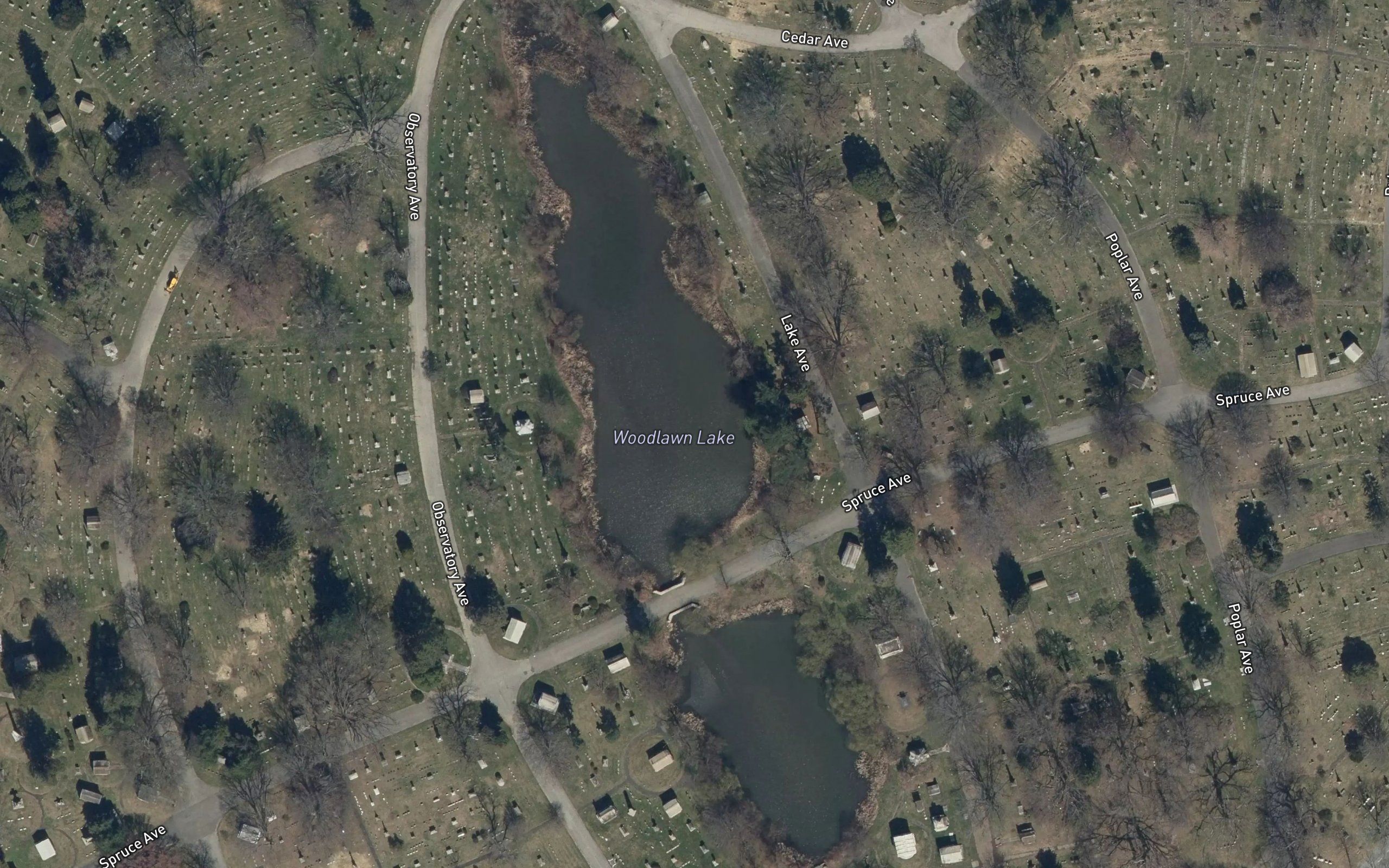 Woodlawn Lake