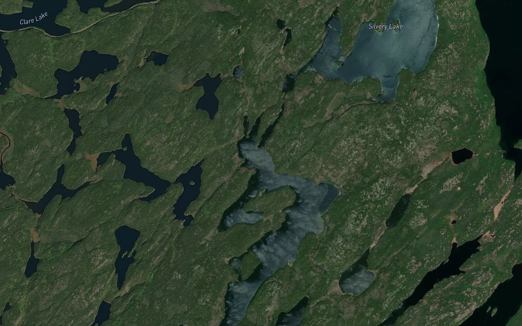 Satellite map of the Silvery Lake