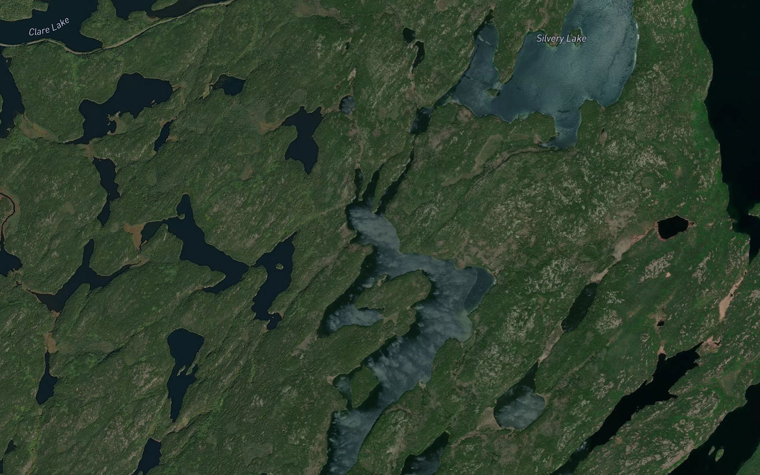 Silvery Lake