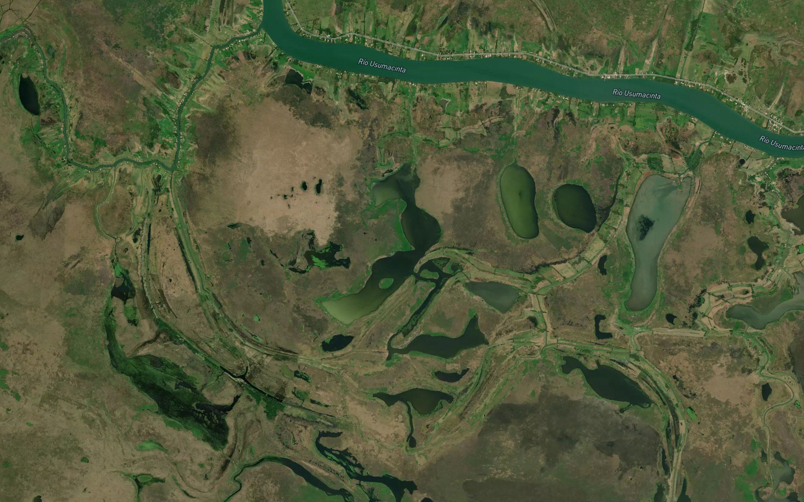 Laguna Tocual