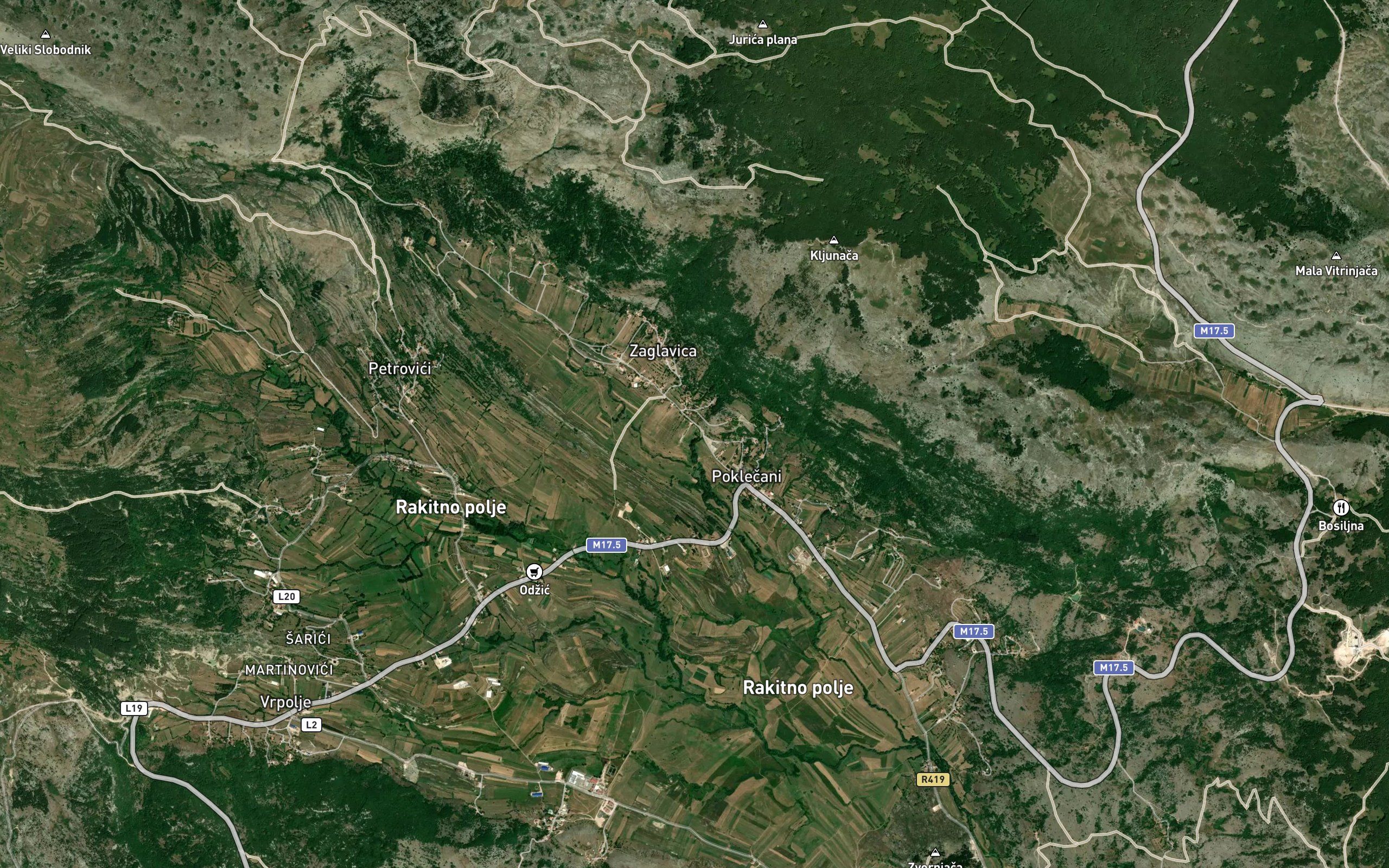 Zmijinac