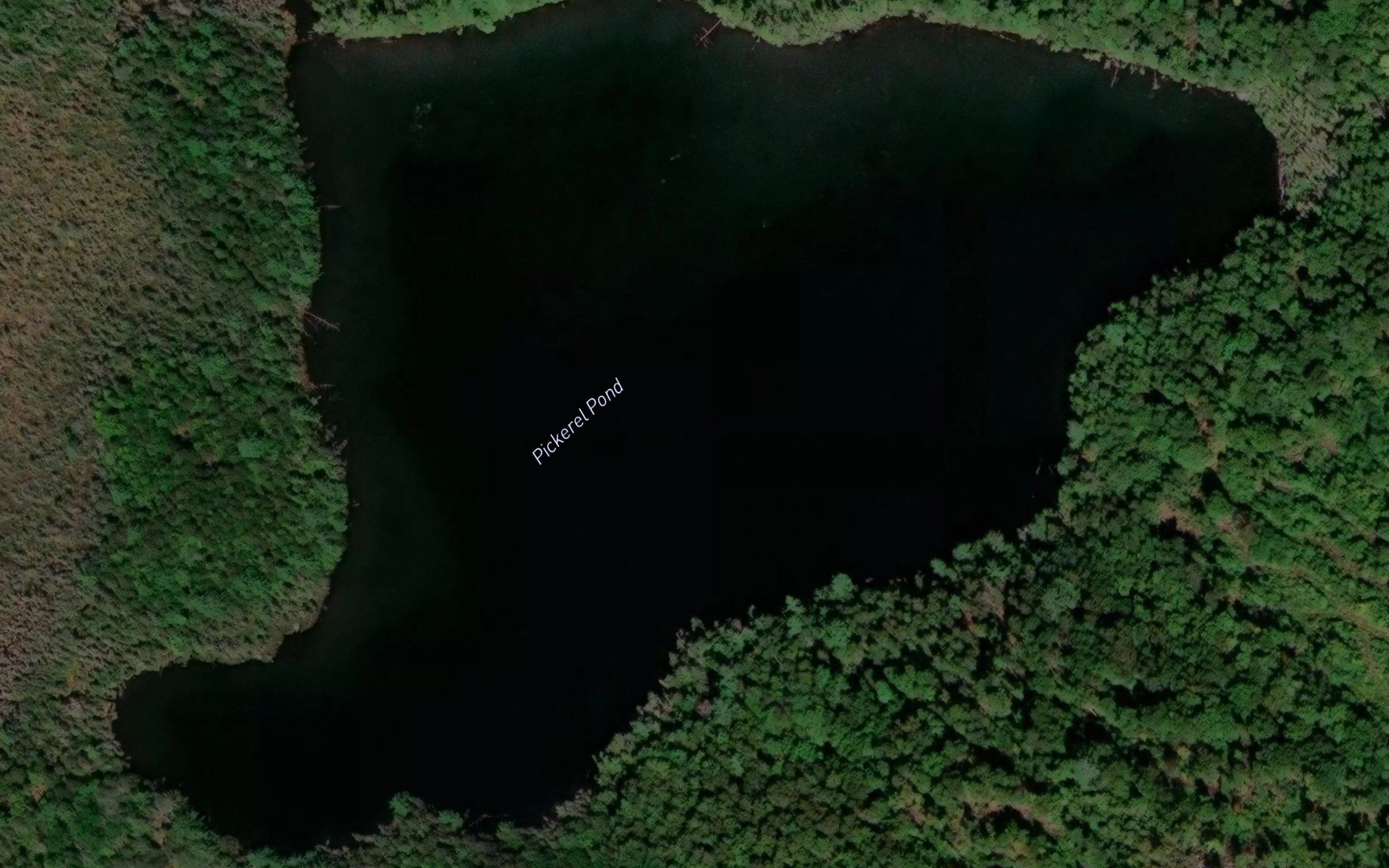 Pickerel Pond
