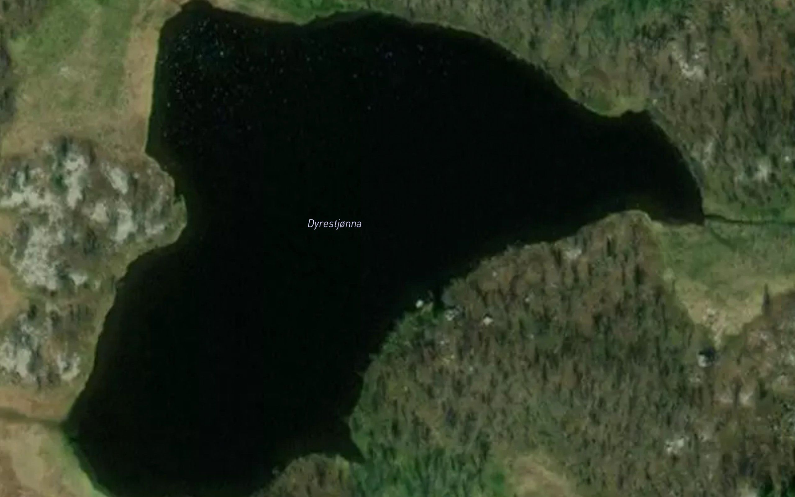 Dyrestjonna