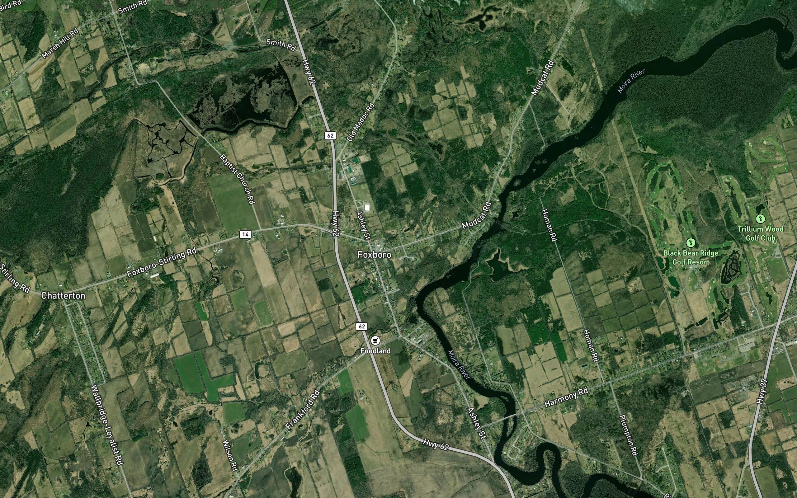 Palliser Creek