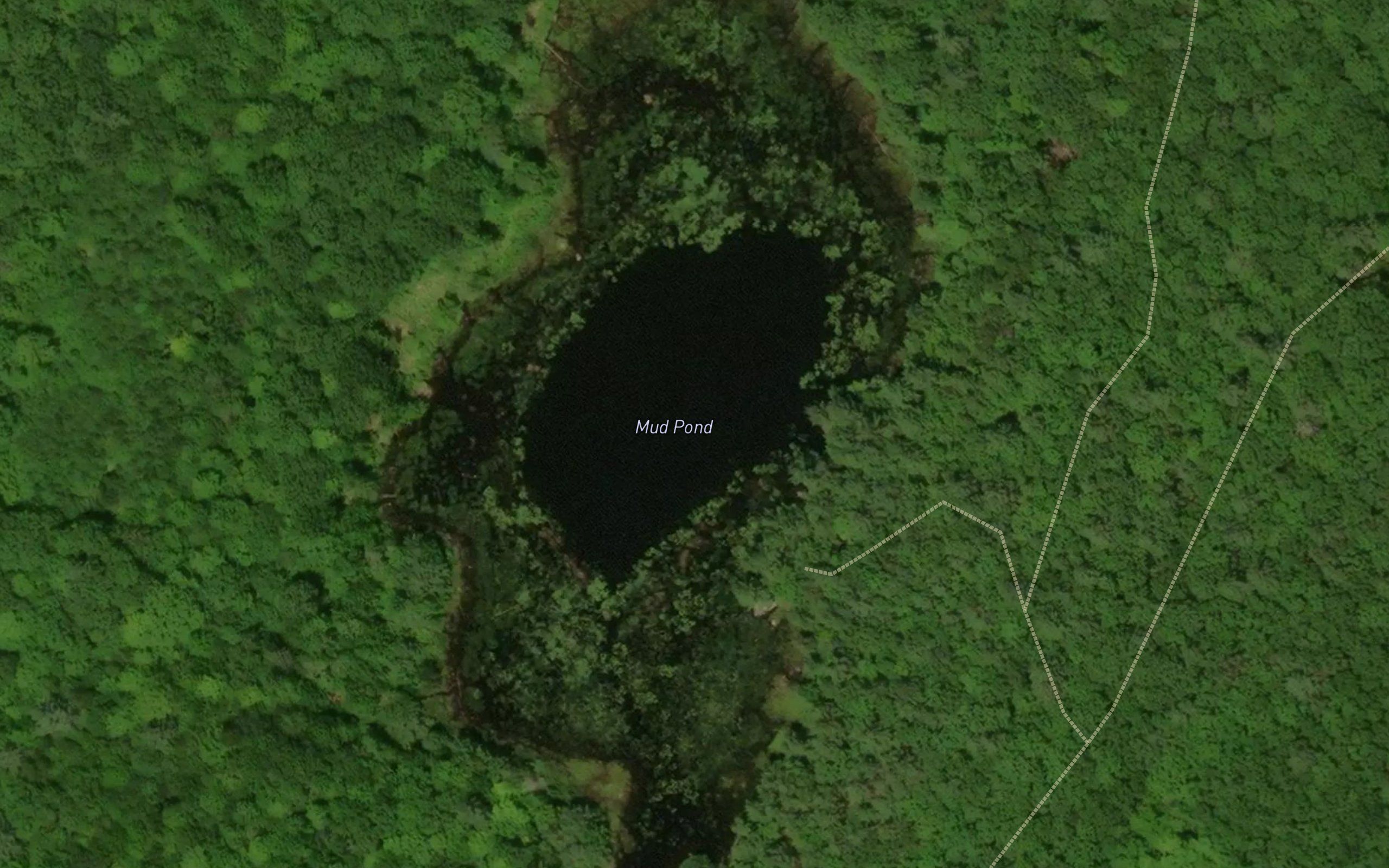 Mud Pond