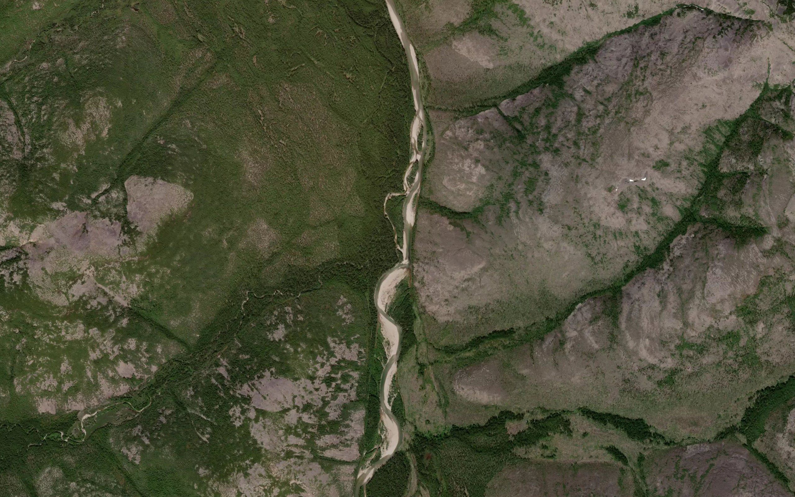 Kuna