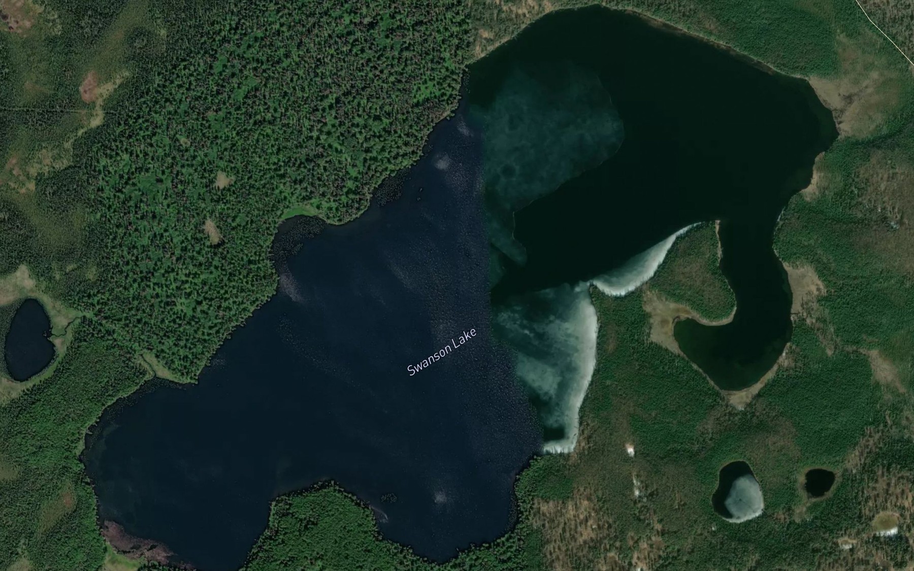 Satellite map of the Swanson Lake
