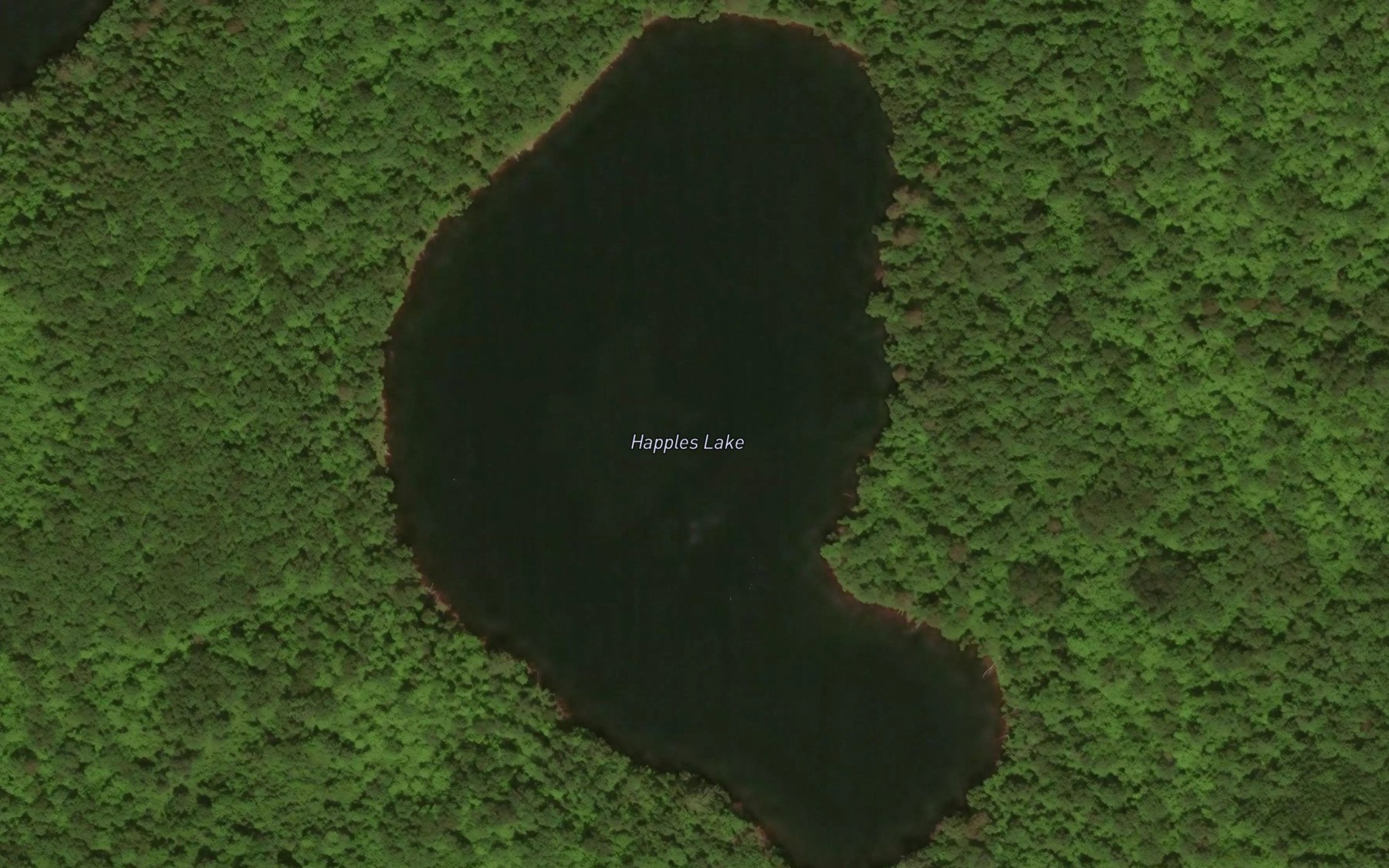 Satellite map of the Happles Lake